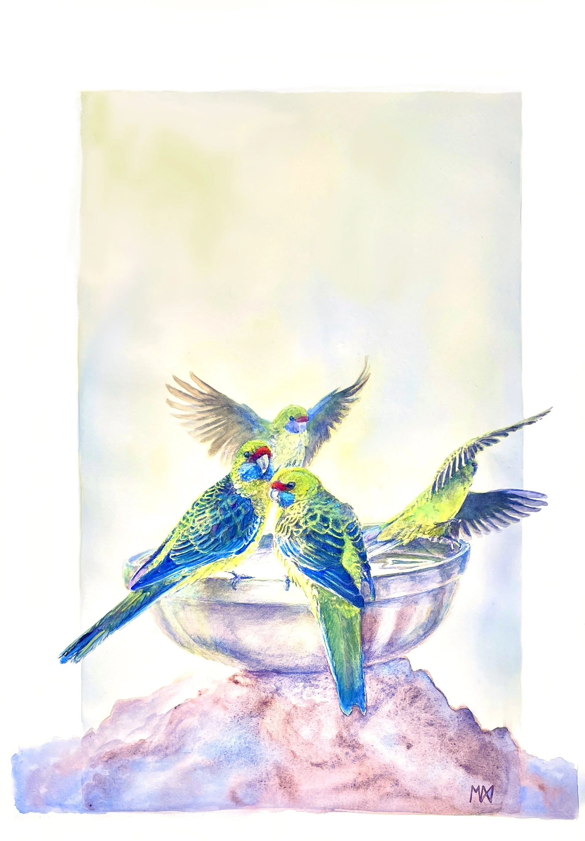 Rosellaspoolpartycleanand correct18 oct.jpg