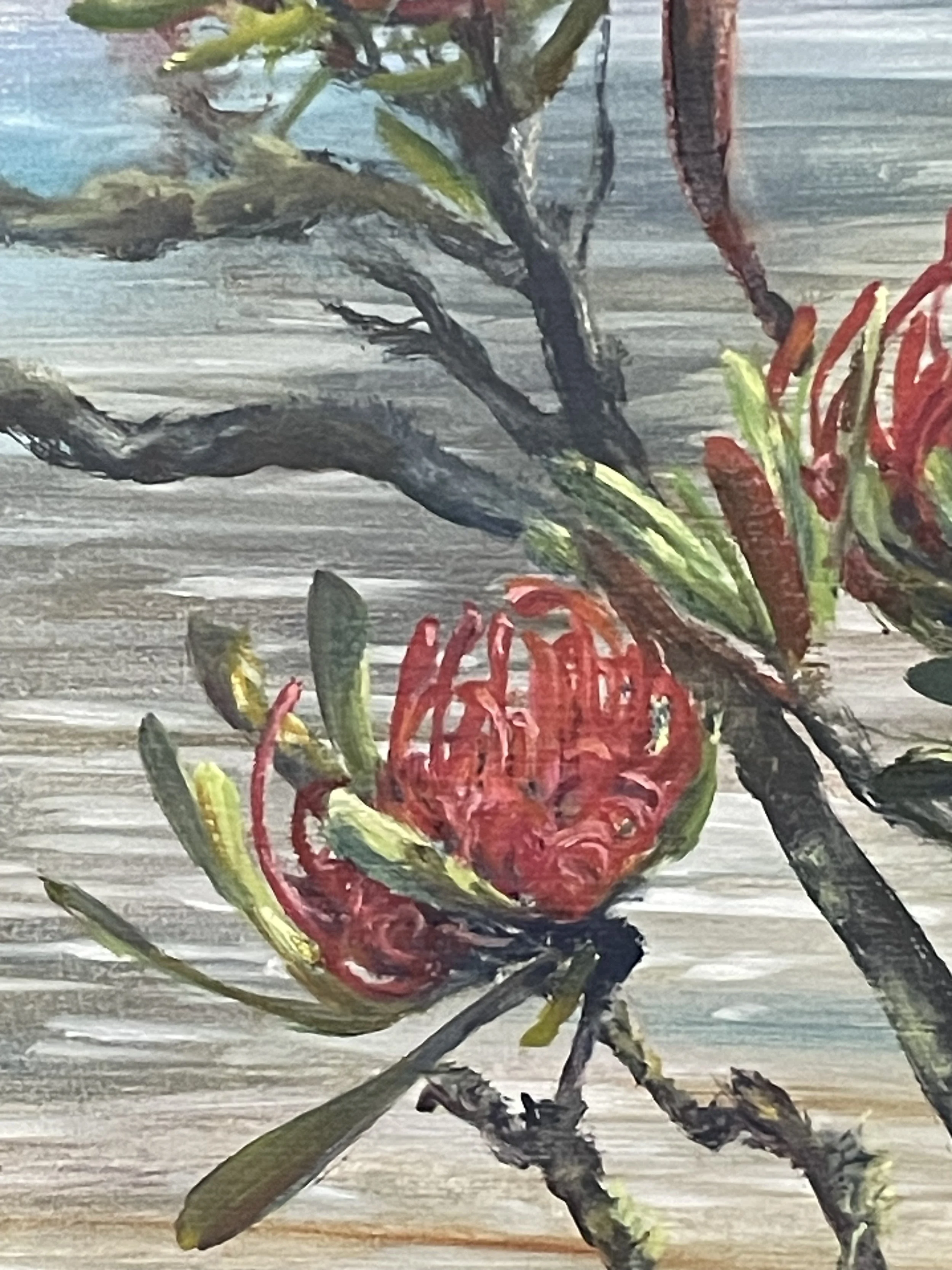 Mt Ida from Rim Lake with Waratah progression. Detail