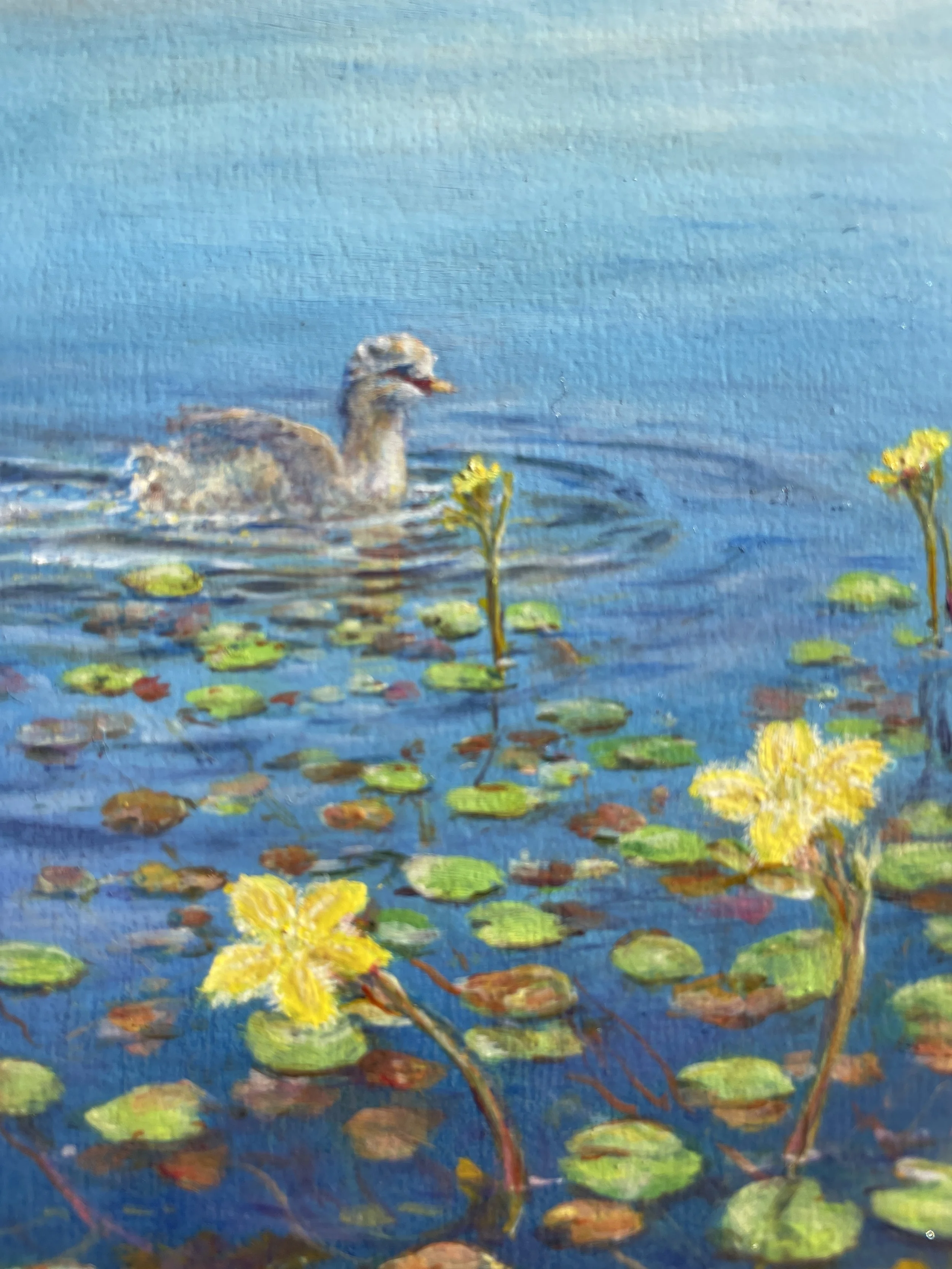 Mt Pillinger oil on board progression. Final detail with Grebe and Marsh flower