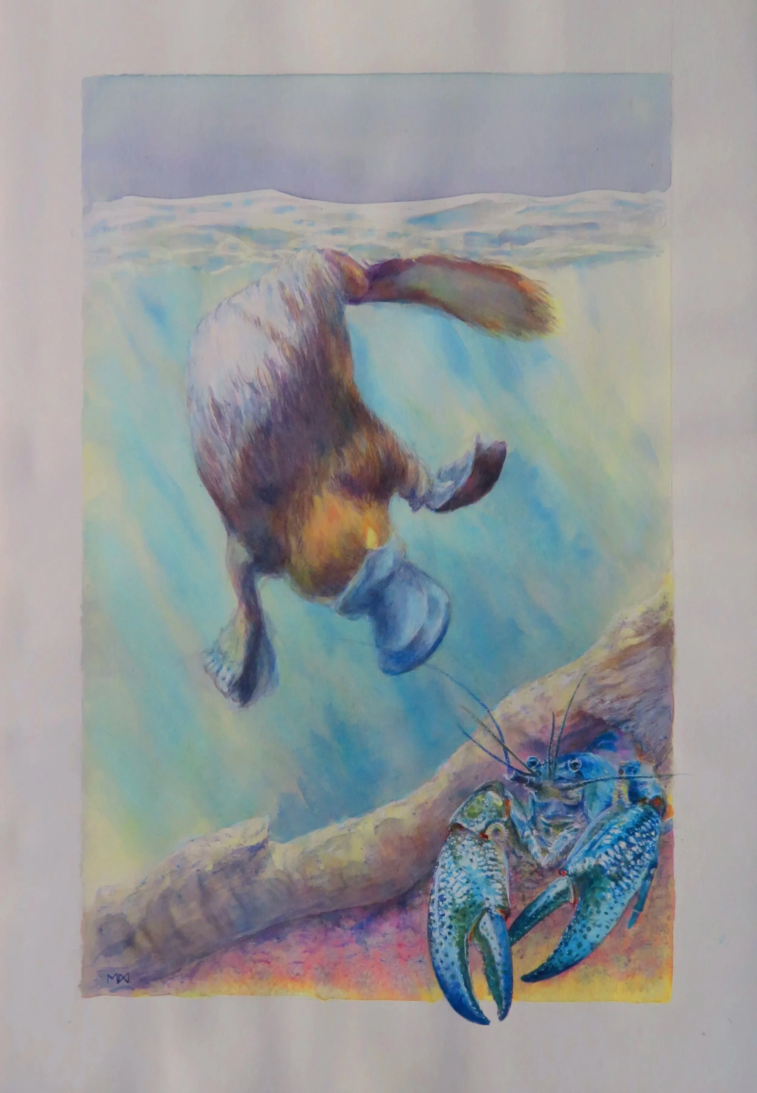 Platypus_print+2025.jpg