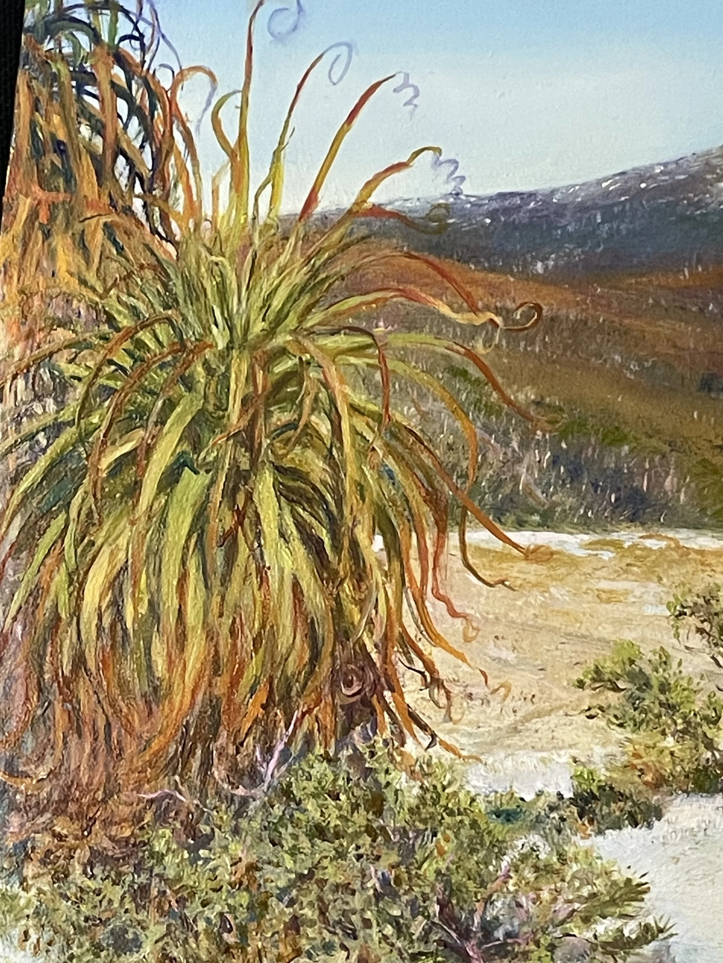 Barn Bluff oil on board progression. Pandani detail