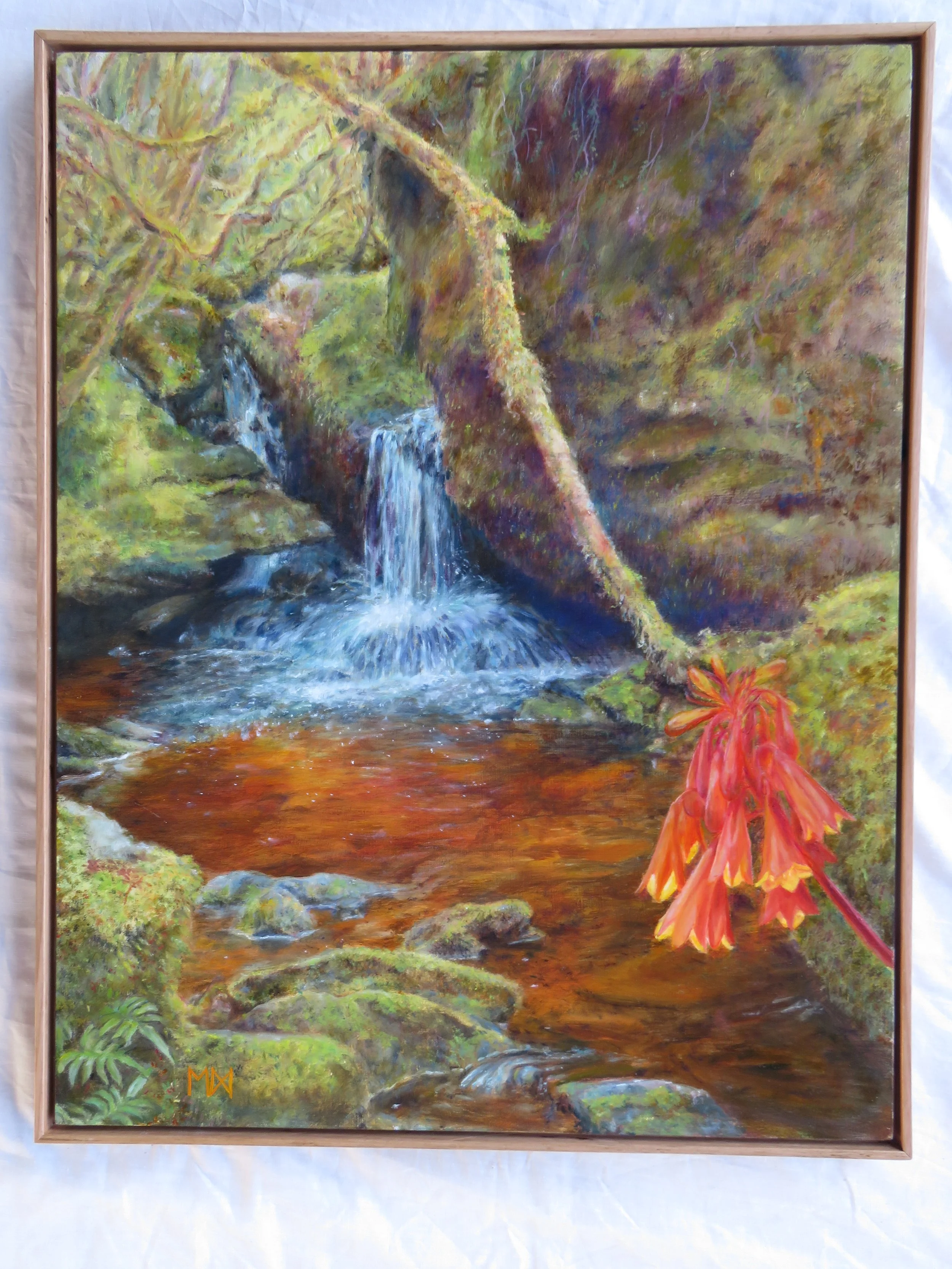 Barron pass waterfall with Christmas bells -Blandfordia