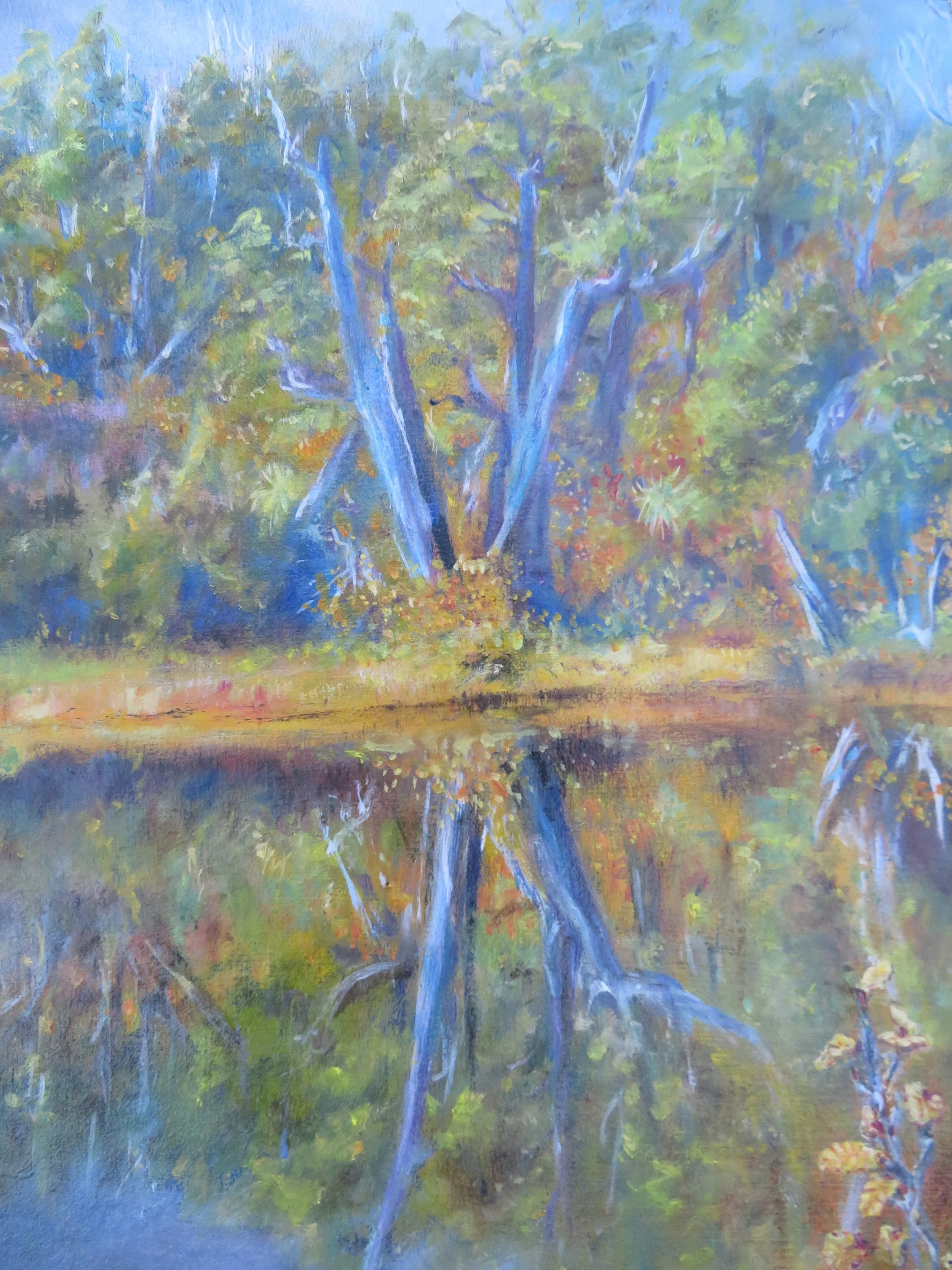 Pool of memories, Ducane range. Progression detail