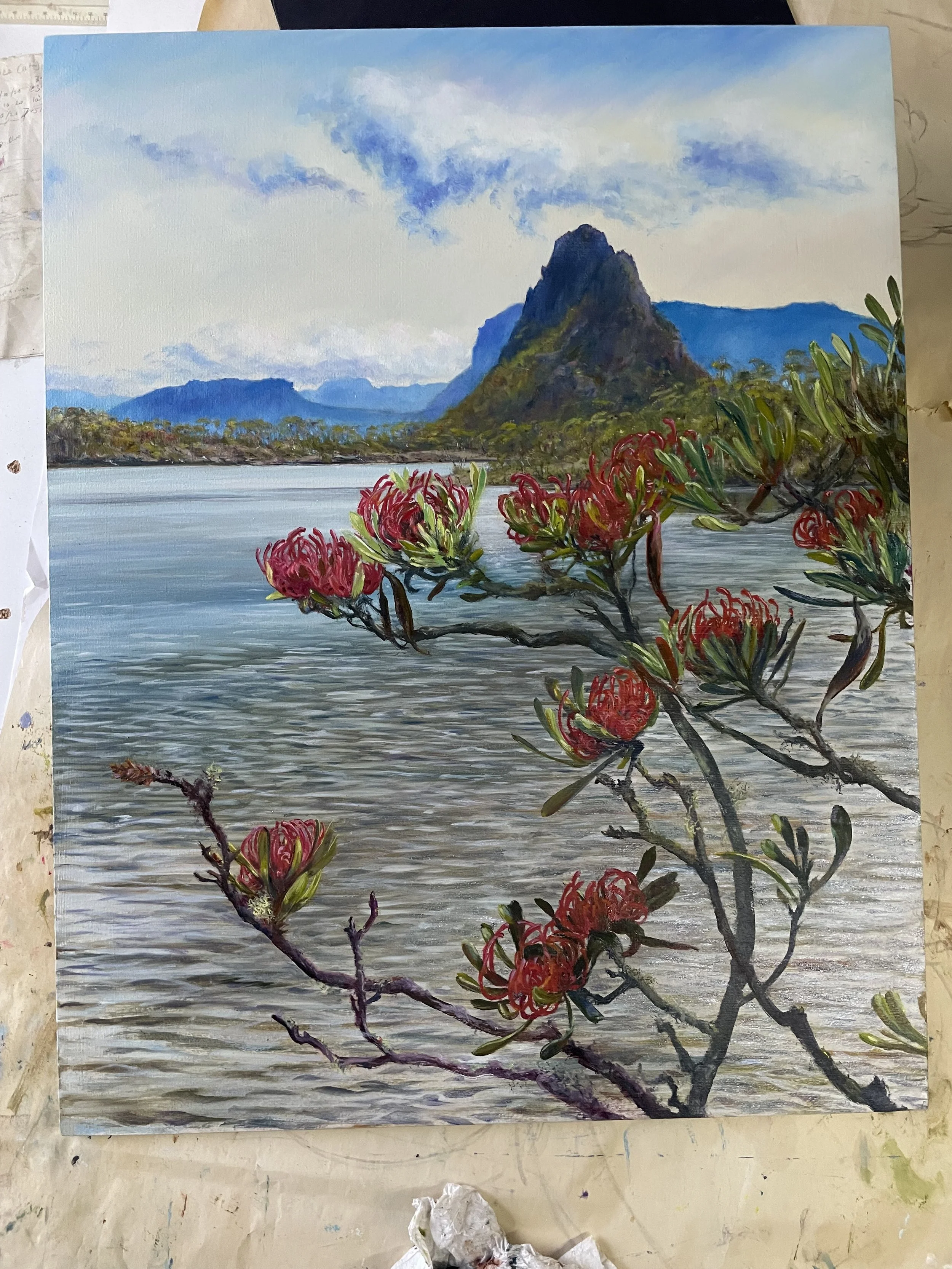 Mt Ida from Rim Lake with Waratah progression.
