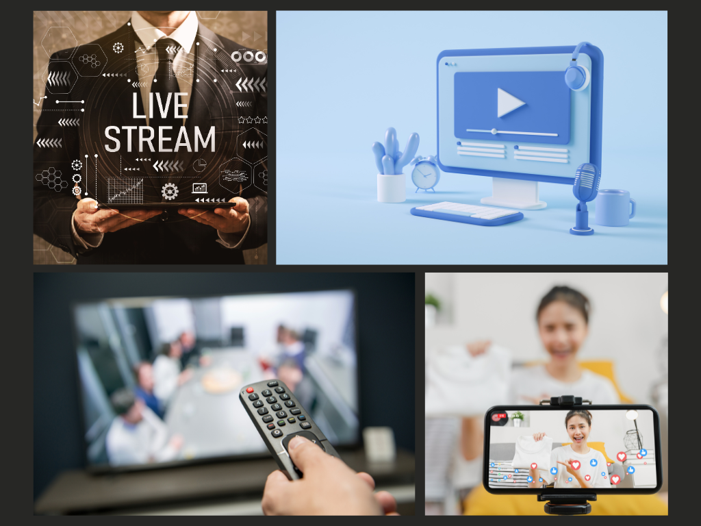 Focus Group Services — Quid Venistis