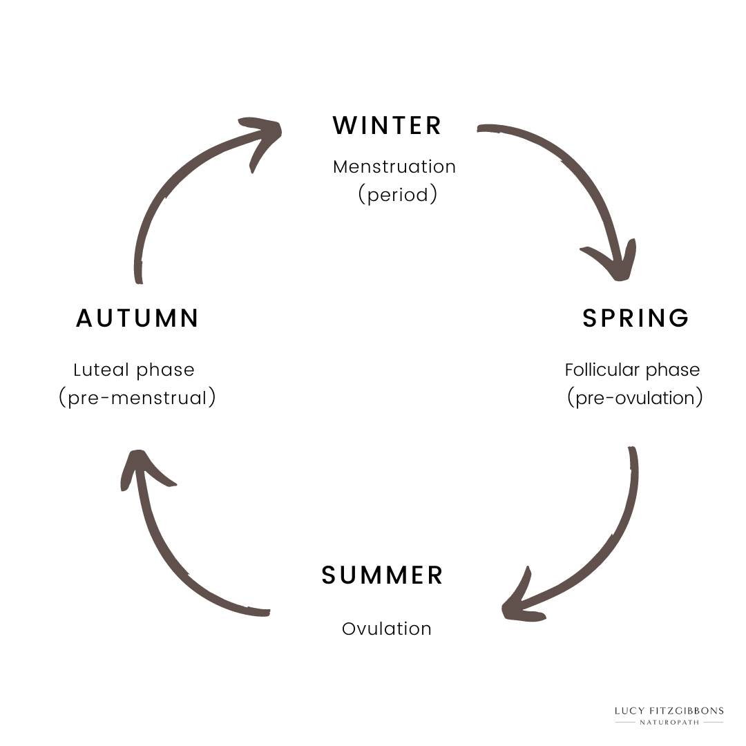 Phases of the menstrual cycle: the 4 seasons — Lucy Fitzgibbons Naturopath