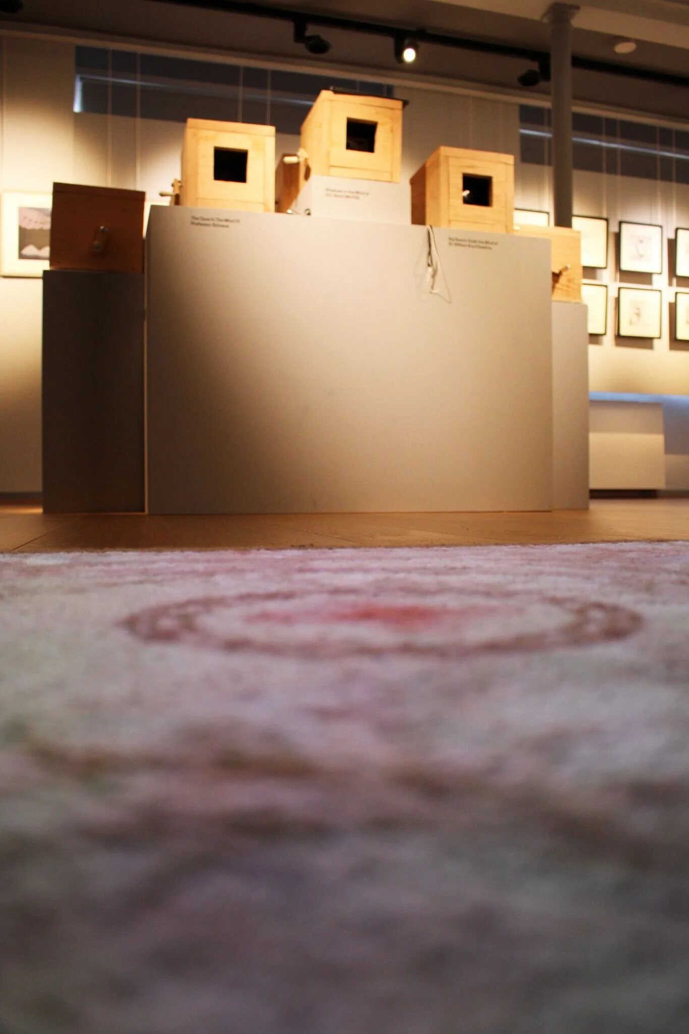 Muse- Makers in Museums, Photography Christopher Jelley (EM).jpg