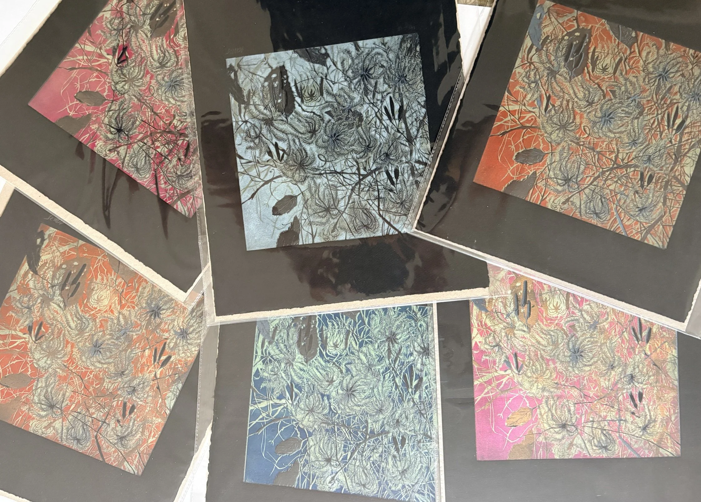 Old Man's Beard prints.jpg