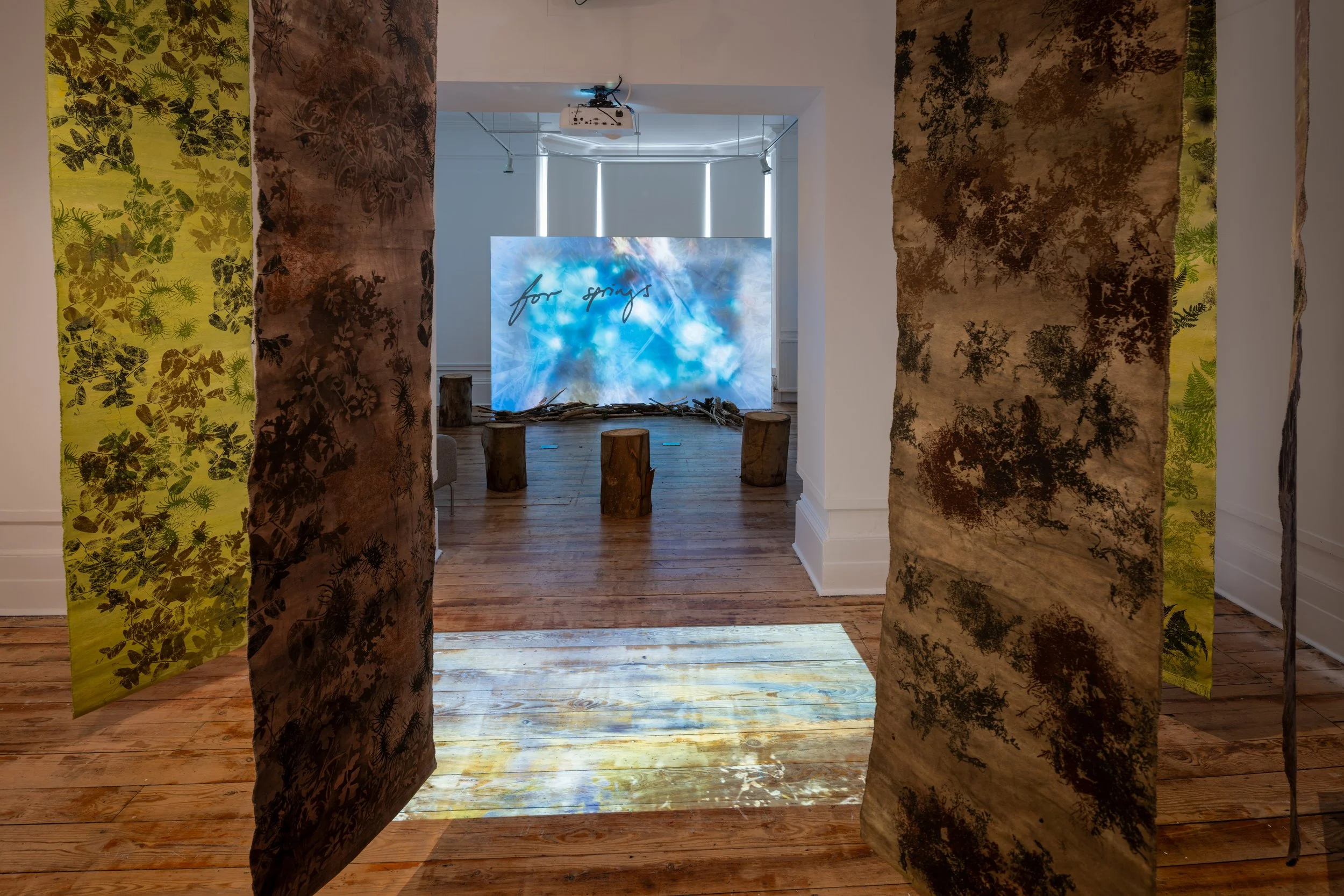 Shifting Waterscapes: screenprinted canvases