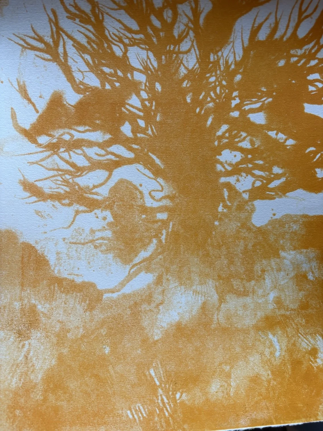 Wolf Tree first layer.jpeg