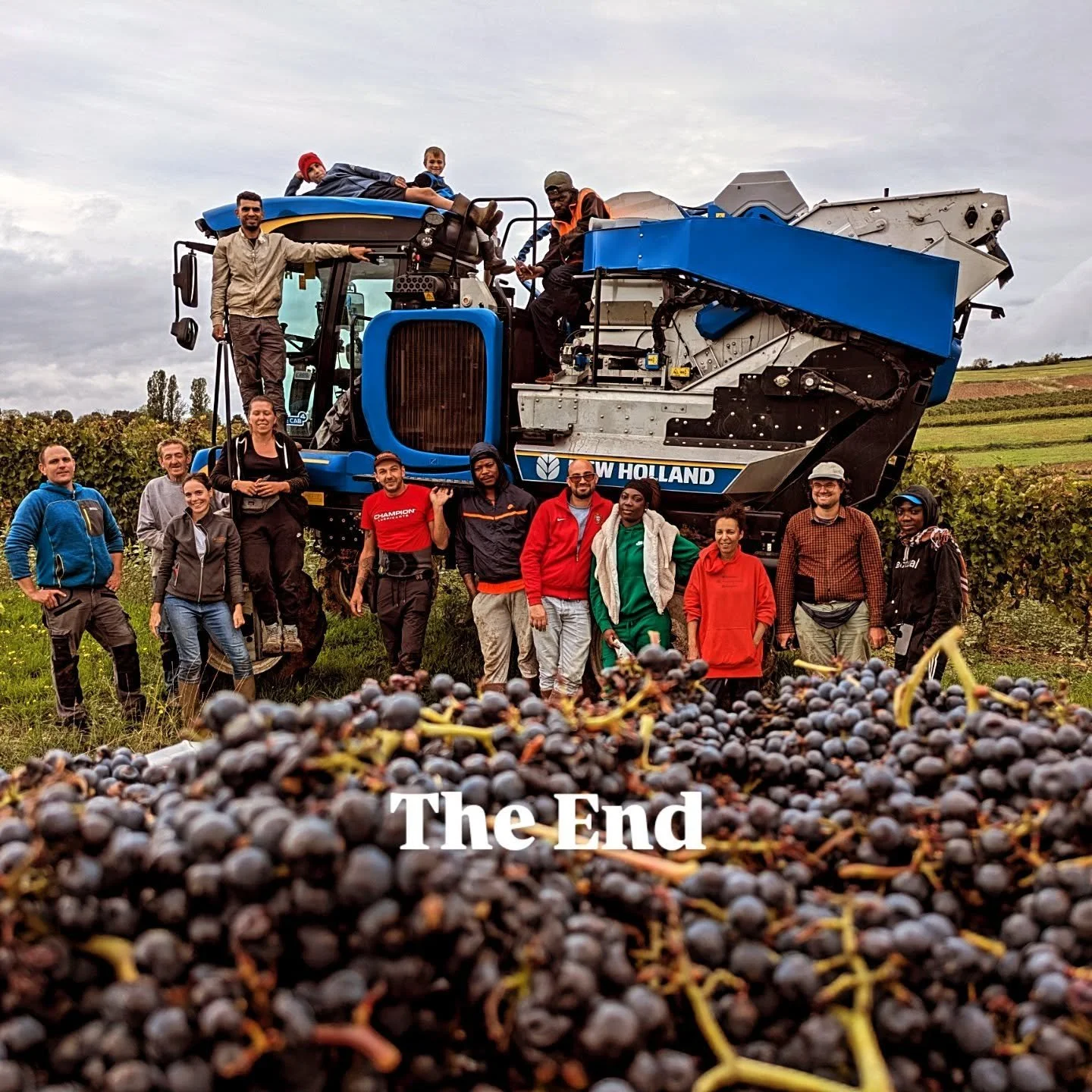🍇 Clap de fin sur nos vendanges 2025 !
Un mill&eacute;sime riche en &eacute;motions : entre stress et &eacute;clats de rire, journ&eacute;es &eacute;clairs et marathons de 48h, soleil &eacute;clatant et pluie battante&hellip;
Mais surtout, un mill&e