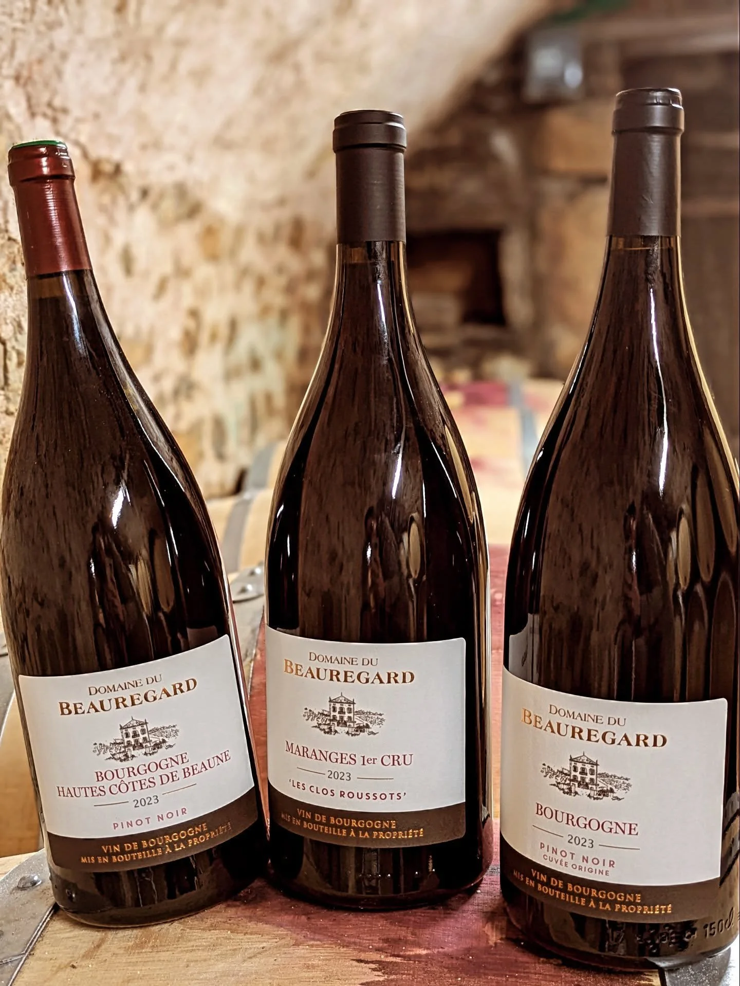 🥂 Un magnum, c’est fait pour partager !
Hautes Côtes de Beaune, Maranges 1er Cru, Bourgogne Pinot Noir…
Des formats festifs pour des moments gourmands 🍷✨
🎄 Demandez vite notre catalogue de Noël et préparez vos f&eci