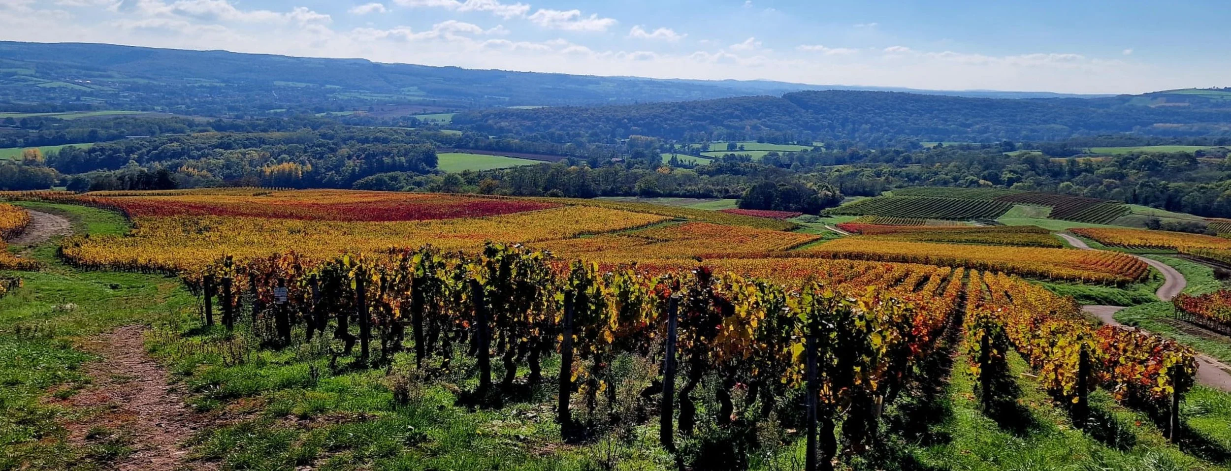 Design sans titre (2).jpg