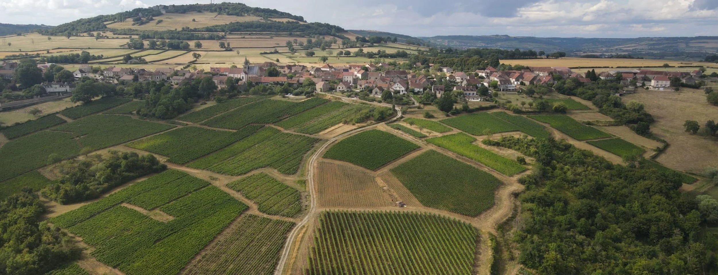domaine-du-beauregard-bourgogne.jpg.jpg