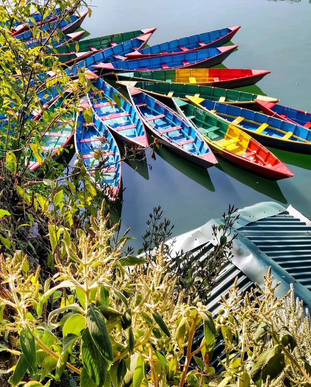 Colorful boats docked on a calm lake, surrounded by green foliage.