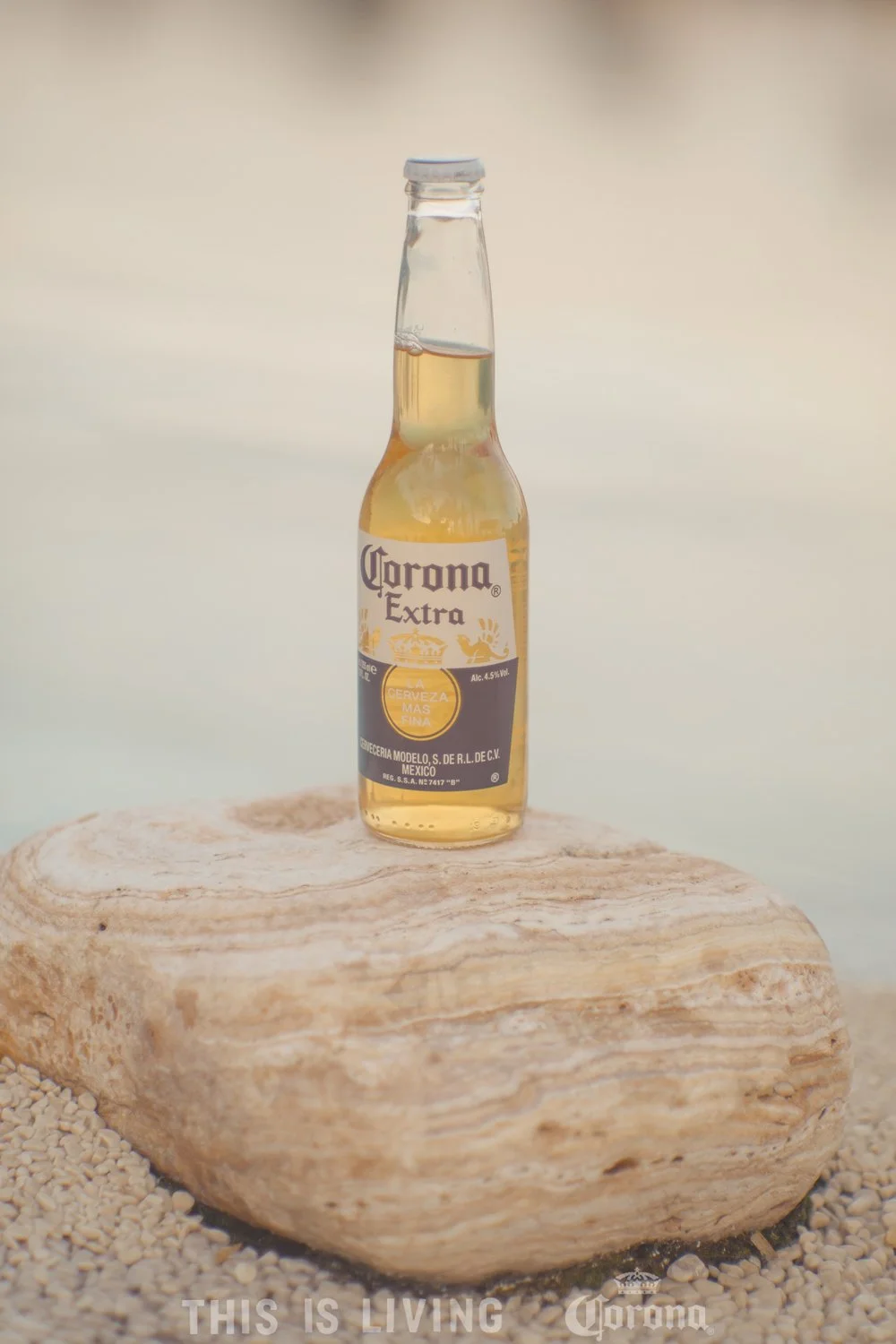CORONA-00012.jpg