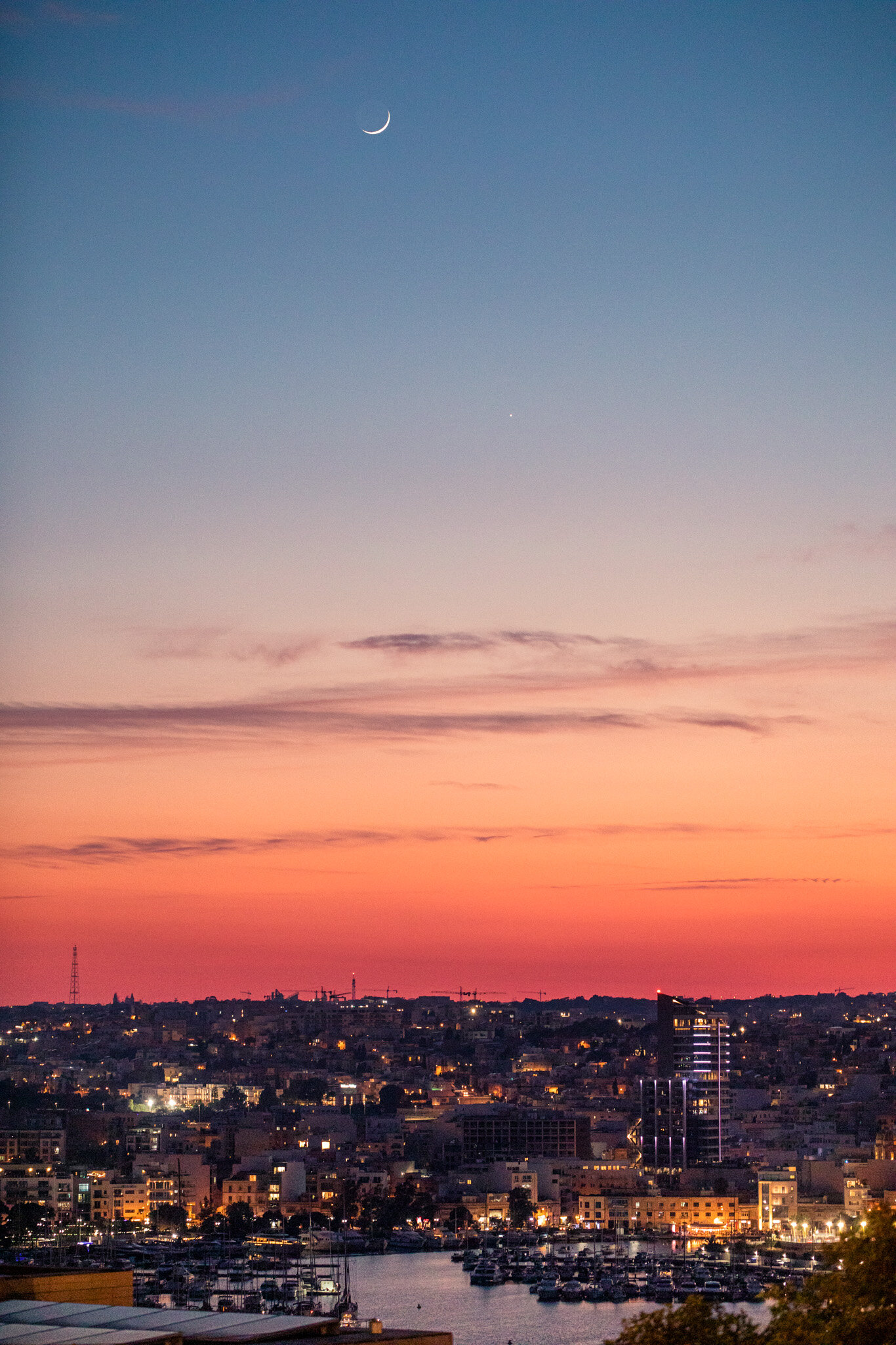 _ZKL2361.jpg