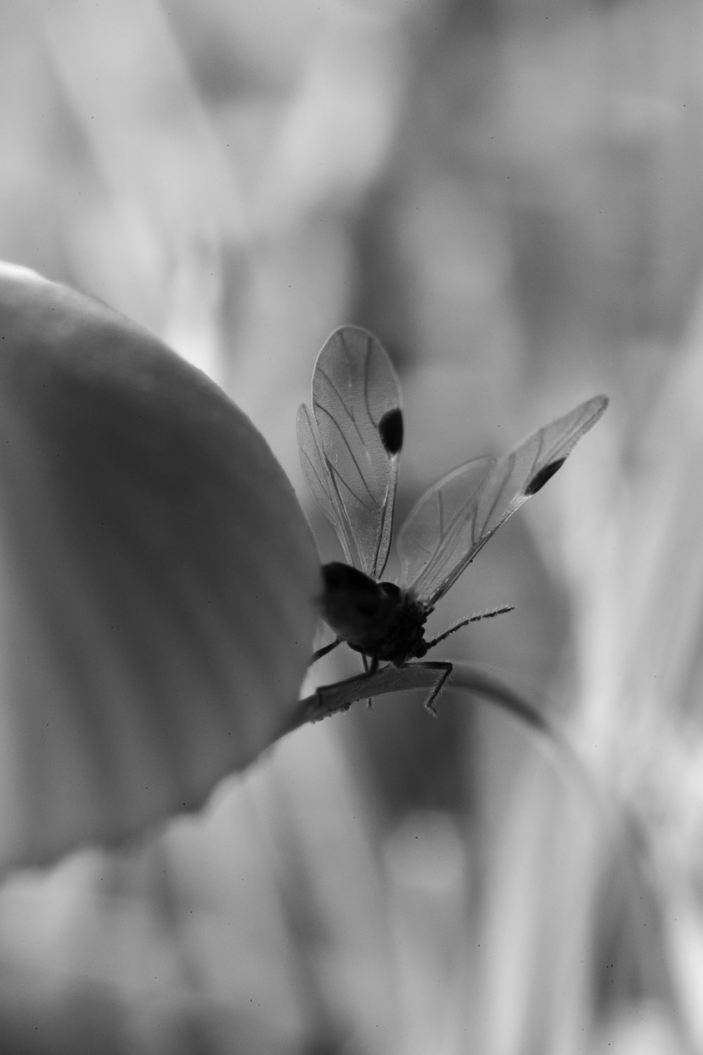 _F8A9567.jpg