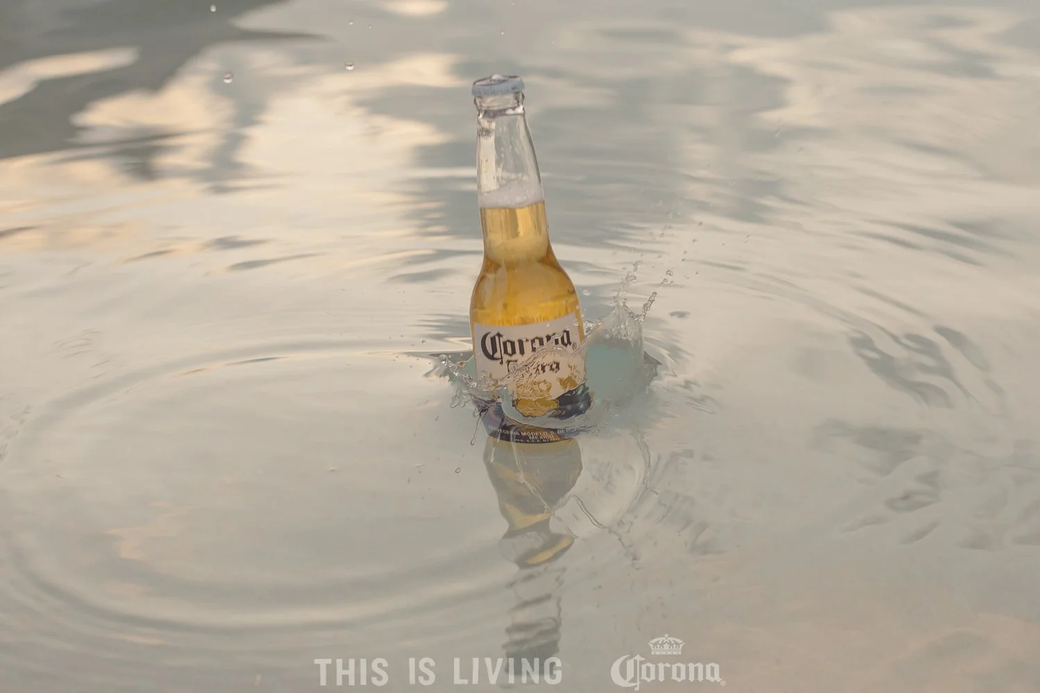 CORONA-00013.jpg