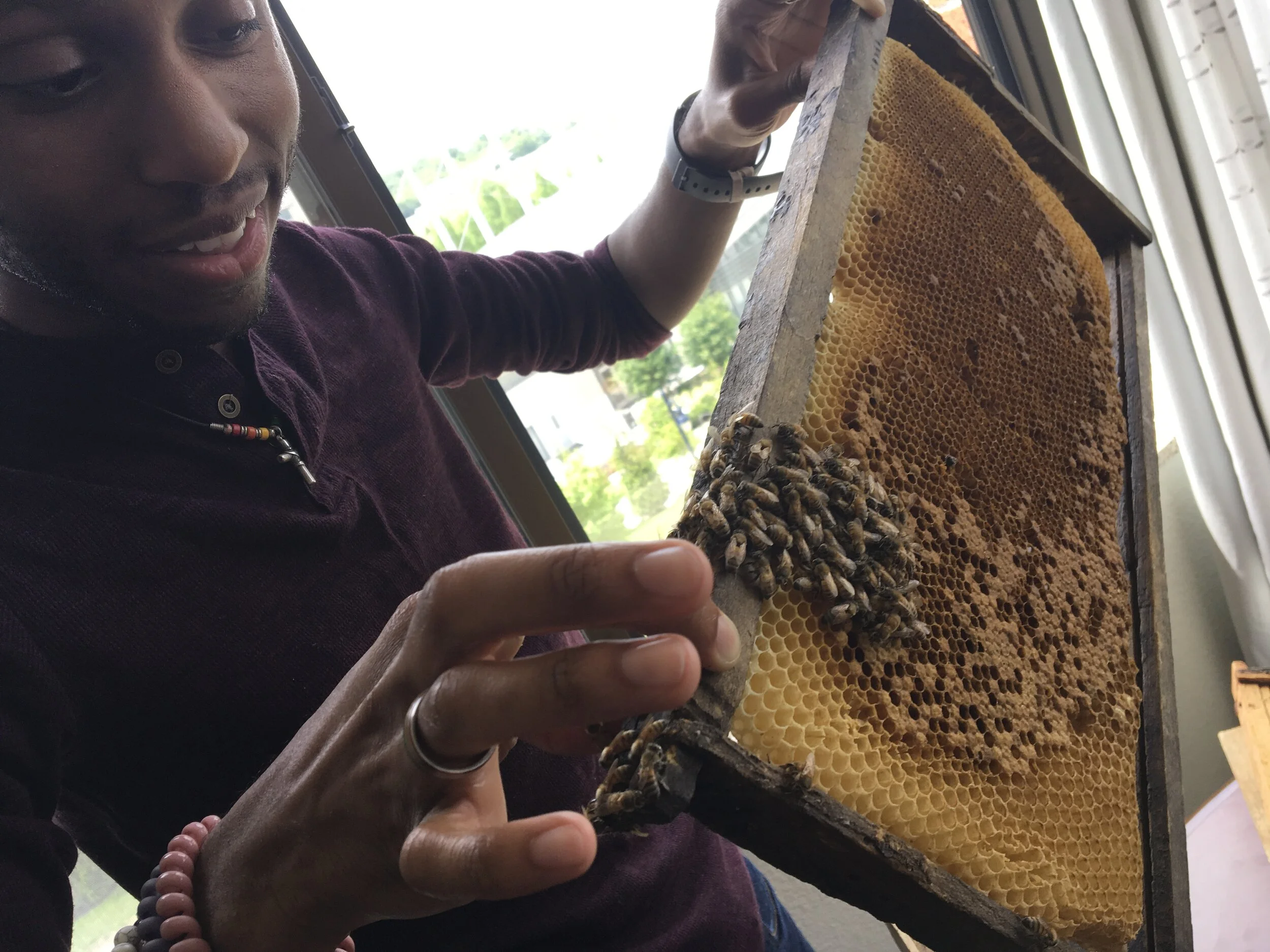 "The Amazing Dr. Samuel Ramsey &amp; His Talk on Tropilaelaps Mercedesae Mites at ABF2020" by LEASEHONEY