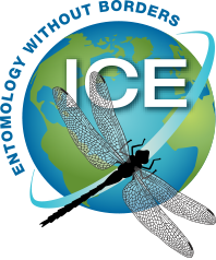 ICE-logo.png