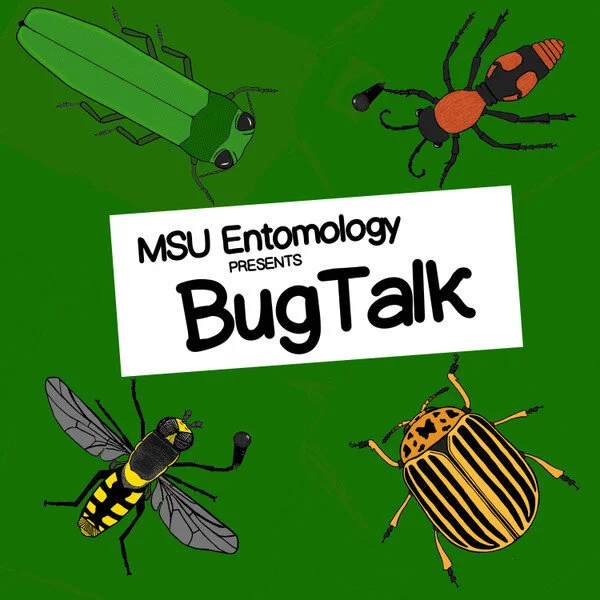MSU Entomology Presents Bug Talk: EP 42 with Samuel Ramsey