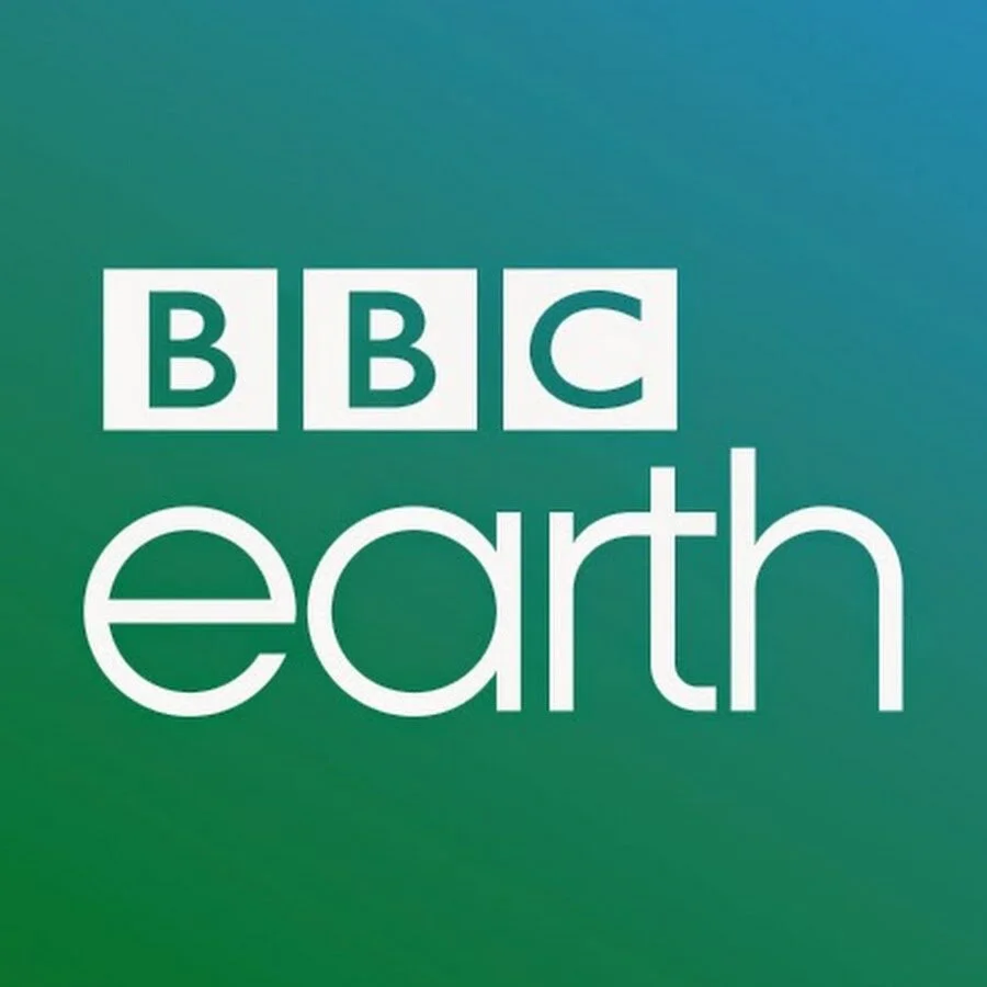 BBC Earth: Saving the world's rarest marine mammal