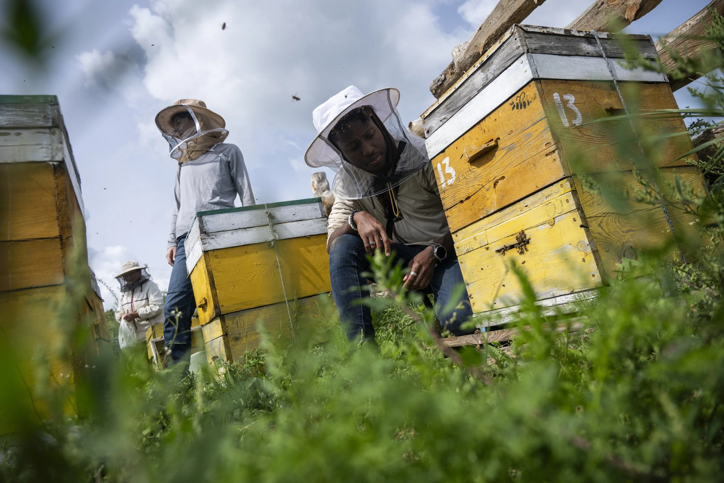 Conducting Bee Disease Diagnostics (9).jpg