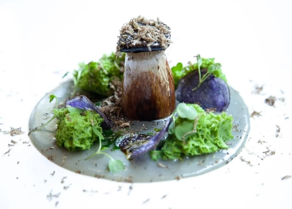 Mushroom Close Up v2.jpg