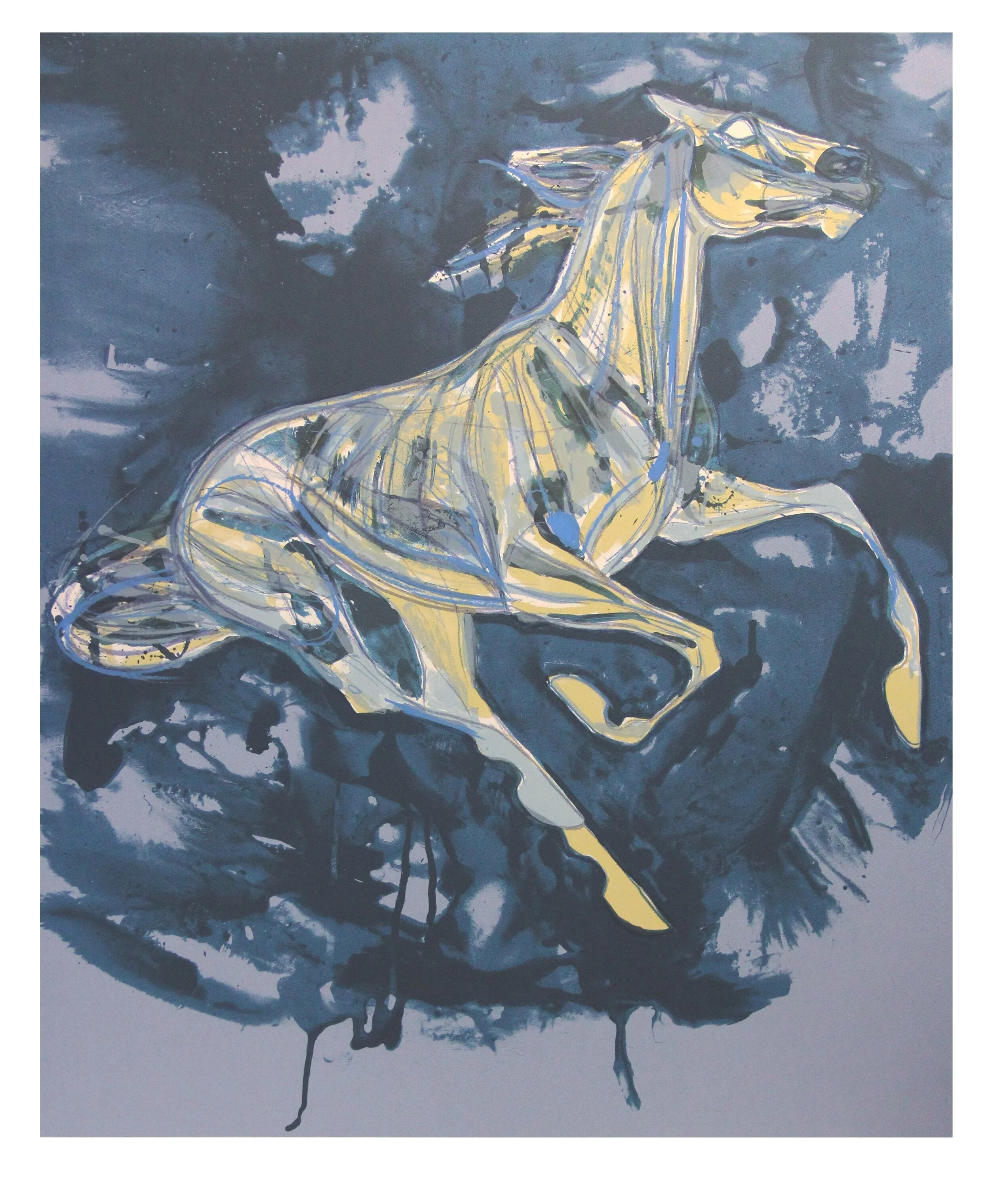 Horse in a Dream