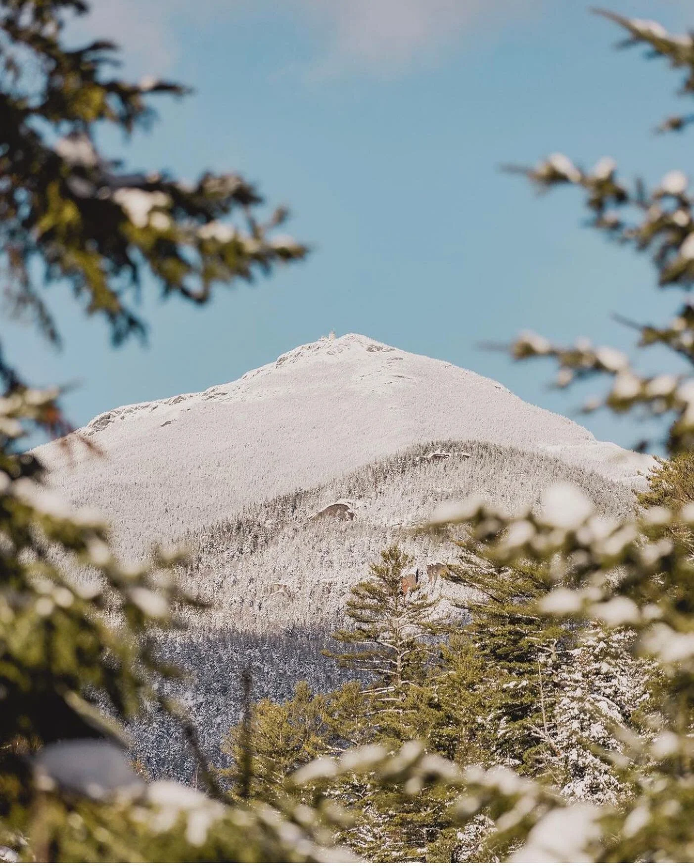 Happy Wednesday Friends. Check out this amazing shot submitted by @amountainlady - remember to tag us or use our hashtag to join the collection! Have a great day ☀️