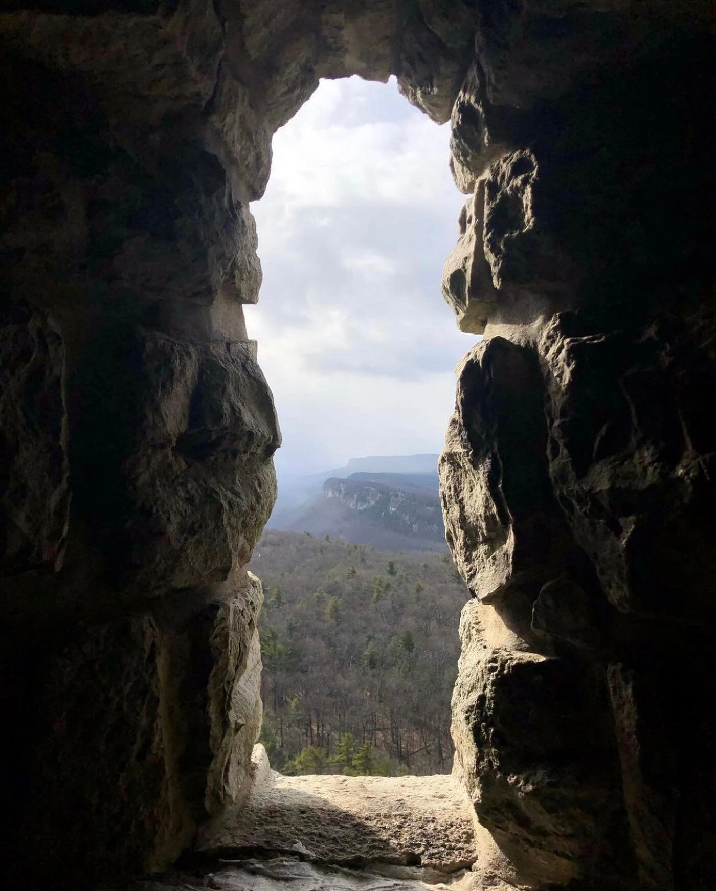 Happy Sunday! We hope everyone is having a fun and safe weekend. Thank you to @dave_rroach for the tag!