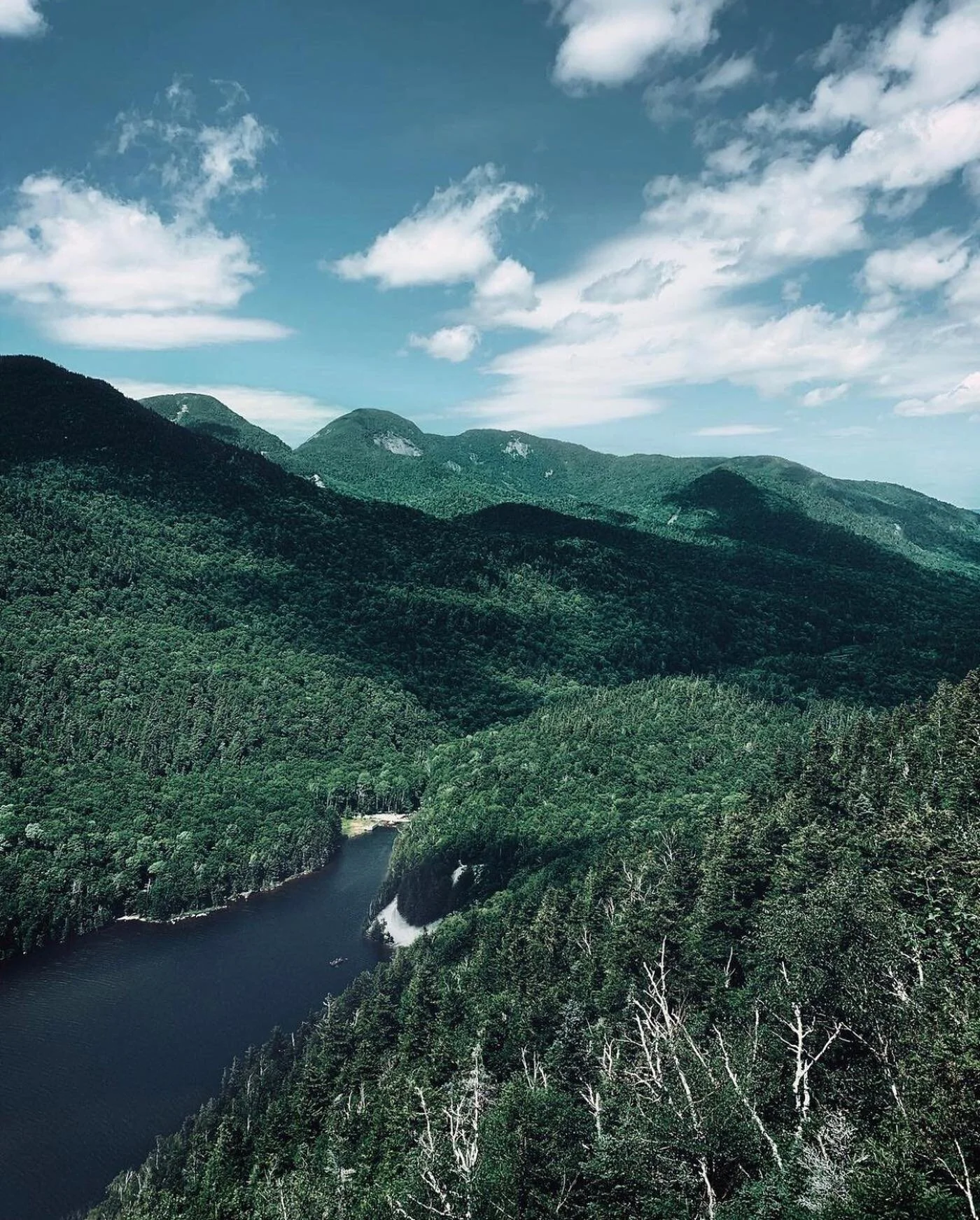 Happy Friday from New York&rsquo;s Back Yard. 🤙🌲 _______________________________________________________

#upstateny #upstatenewyork #adirondacks #lakeplacidny #hiking #naturephotography #newyorksbackyard #hikeny #iloveny #photography #adkphotograp