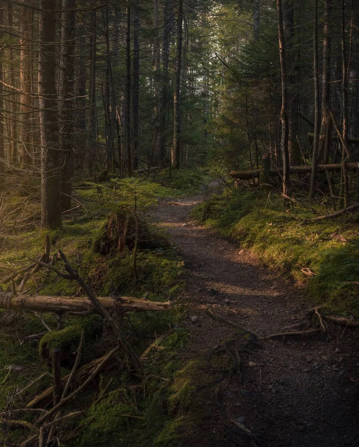 Had to go back to October to find our Thursday motivation! Thank you @awakened89 for the inspiration.