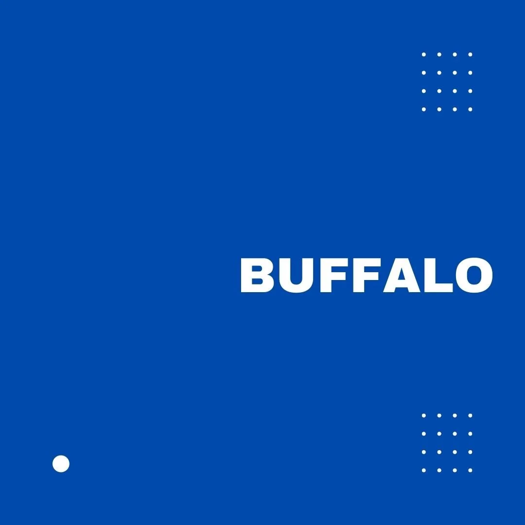 BUFFALO UPSTATE NEW YORK.jpg