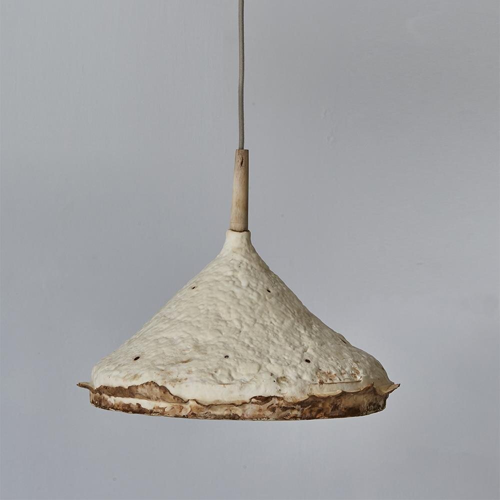 Large mycelium ceiling pendant (Copy)