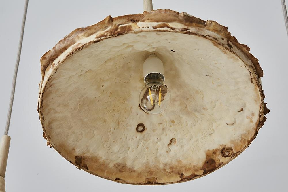 Large mycelium ceiling pendant underneath (Copy)