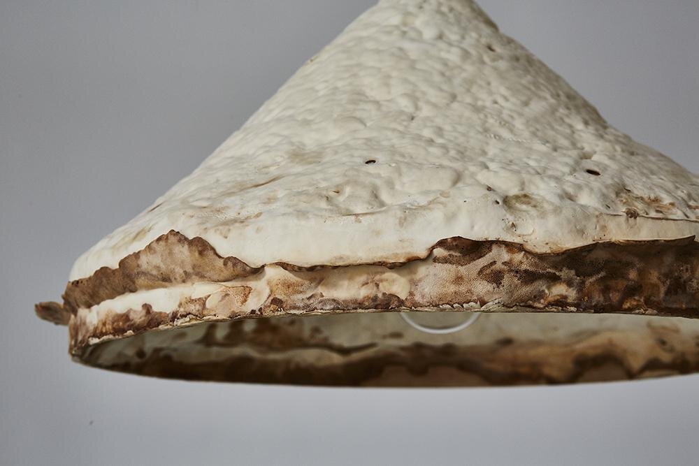 Large mycelium ceiling pendant closeup (Copy)