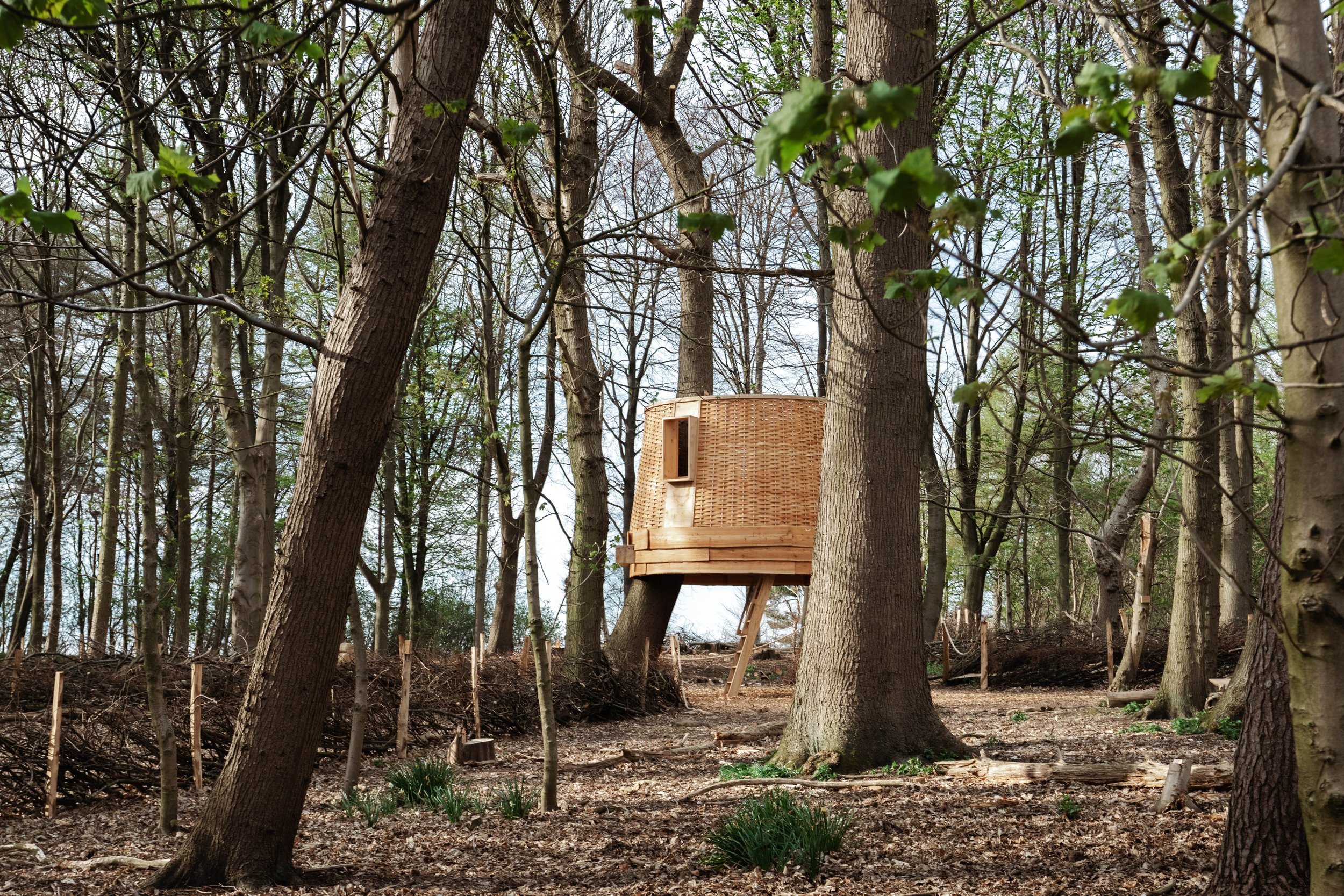 AF_Sebastian Cox_Sylvascope_Treehouse-21.jpg