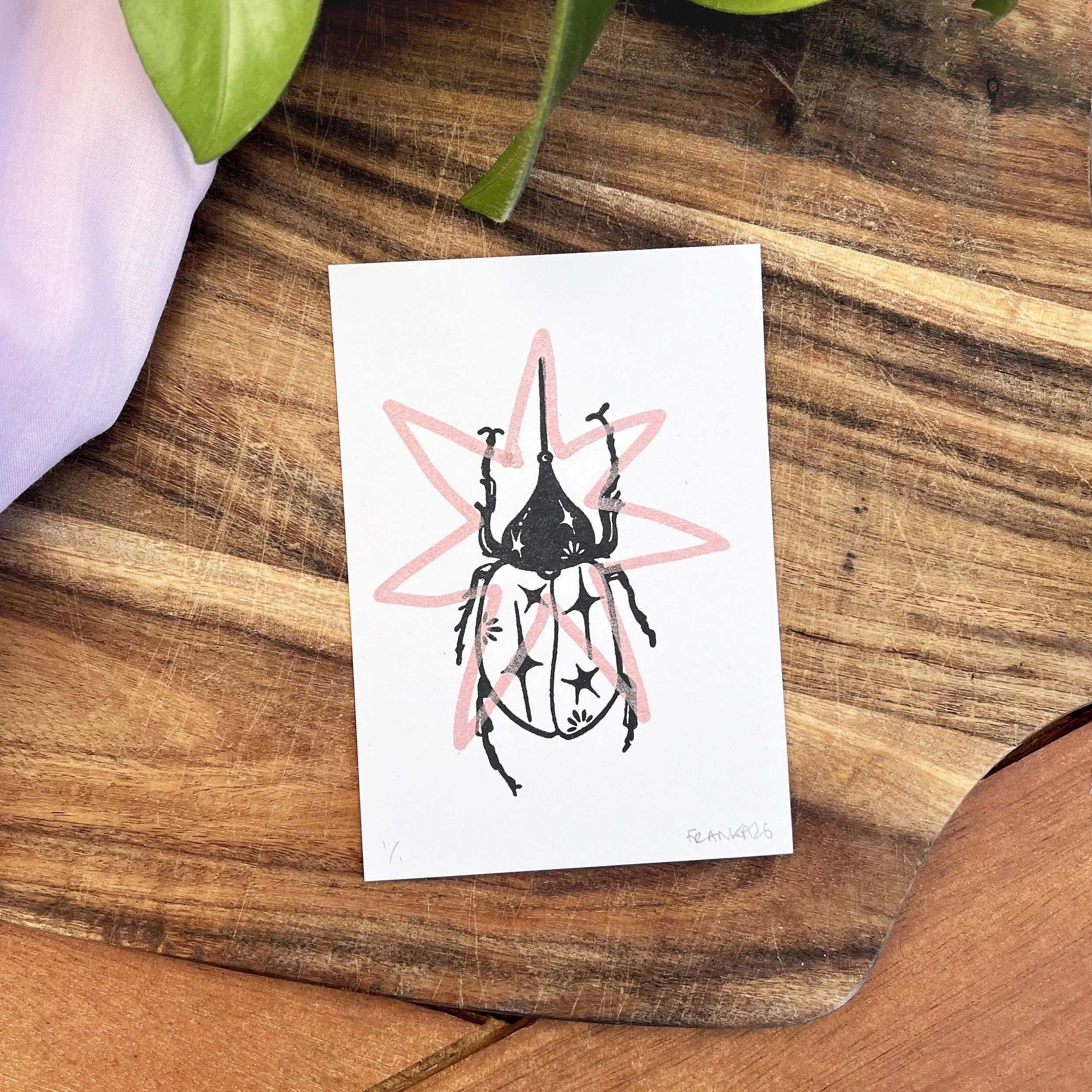 beetle 3 salmon.jpg