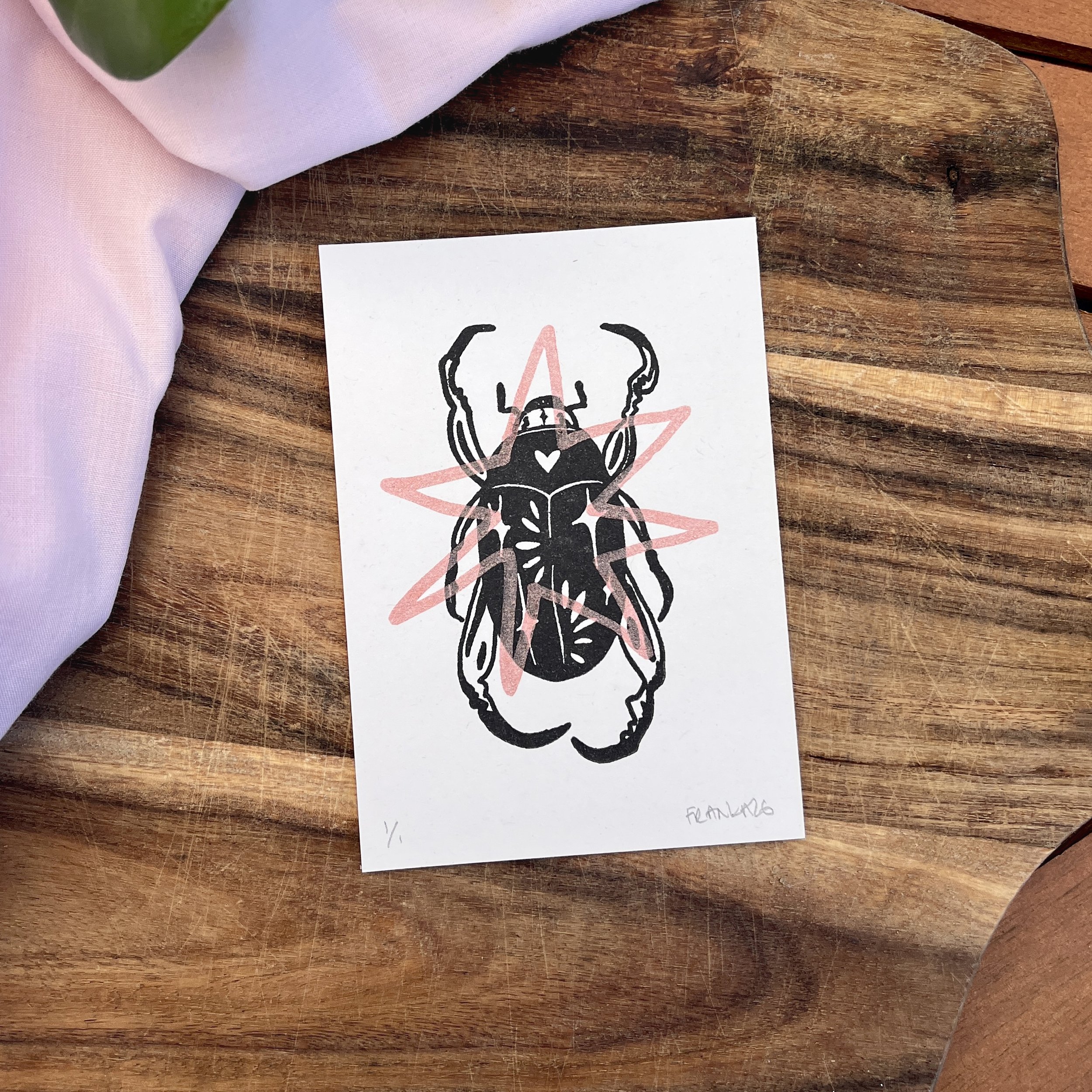 beetle 1 salmon.jpg