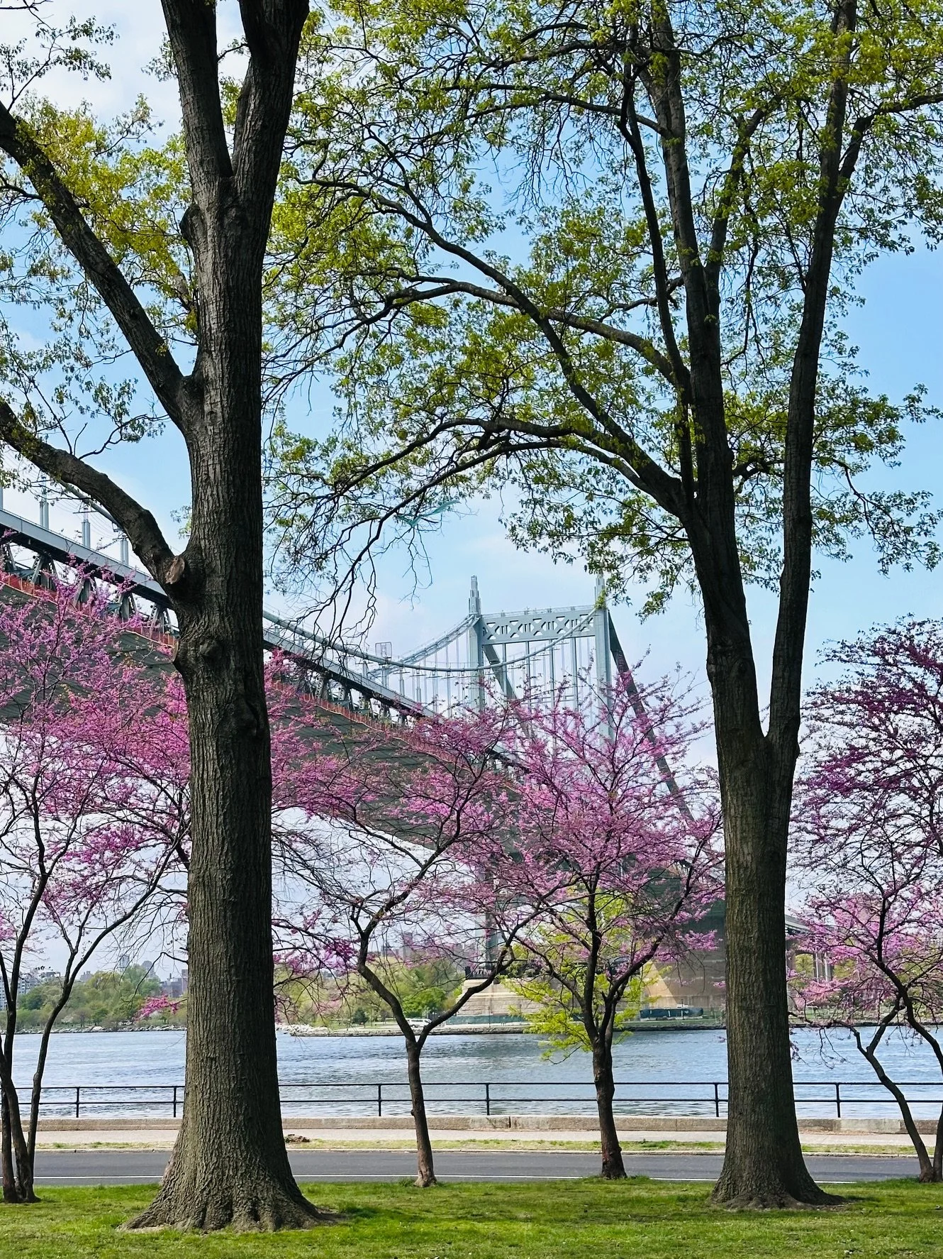 The Month of May Says to Immerse Yourself in It