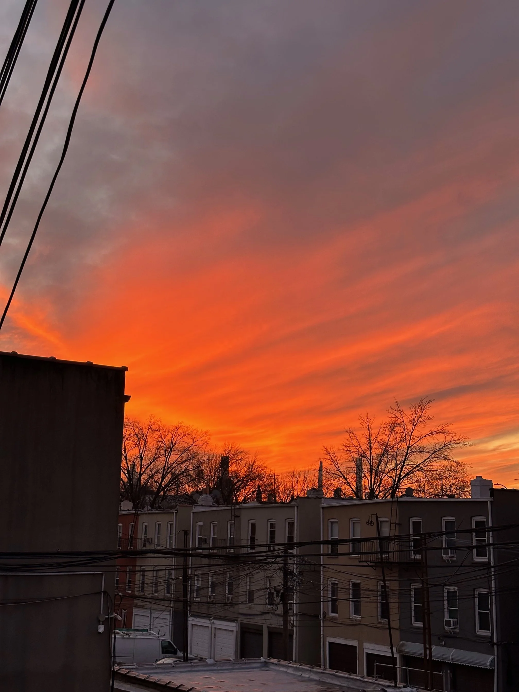 The wisdom of harmony