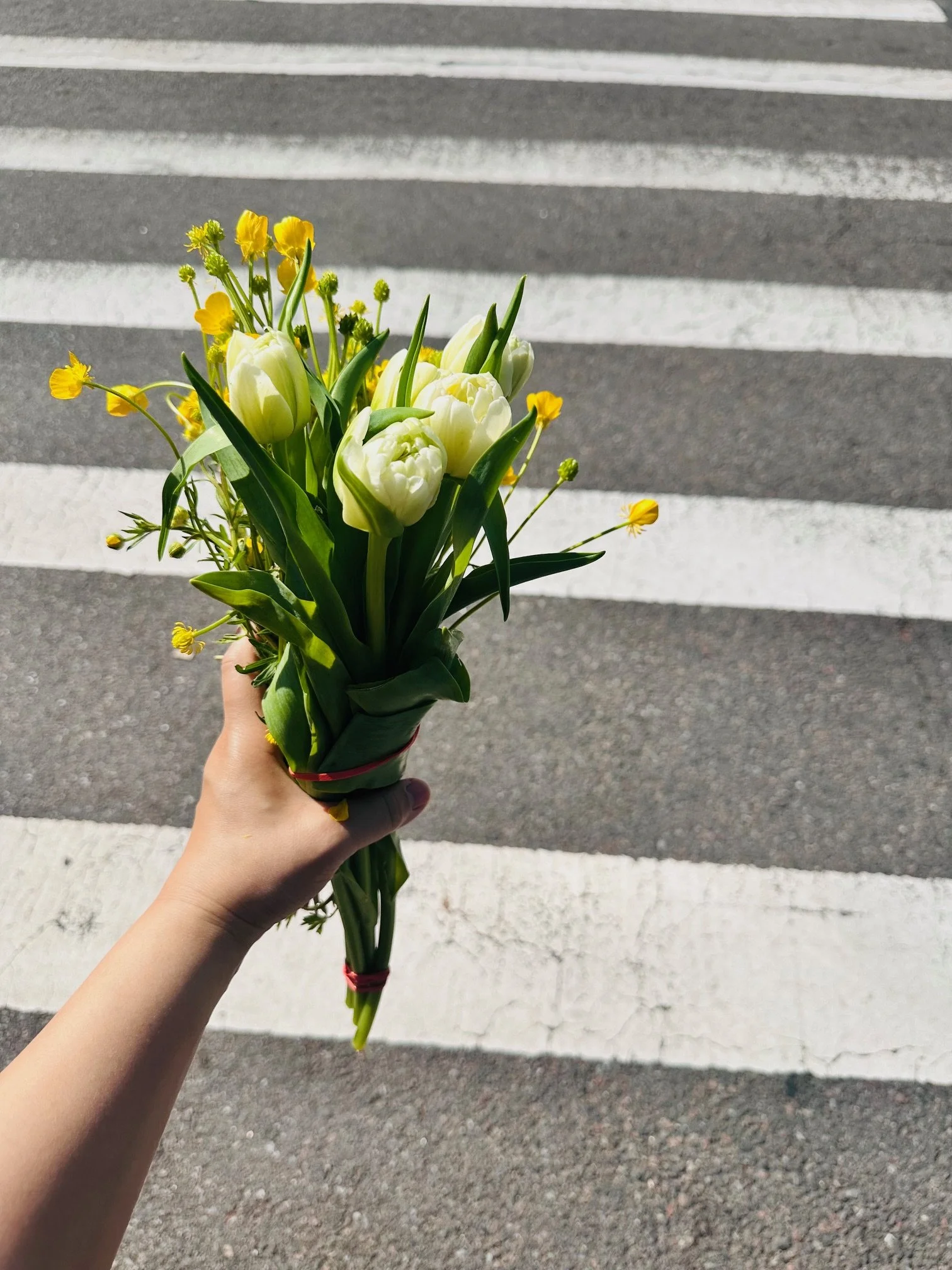 Remembering the Blessing that is Your Body + Why I’m Not Interested in Ascension