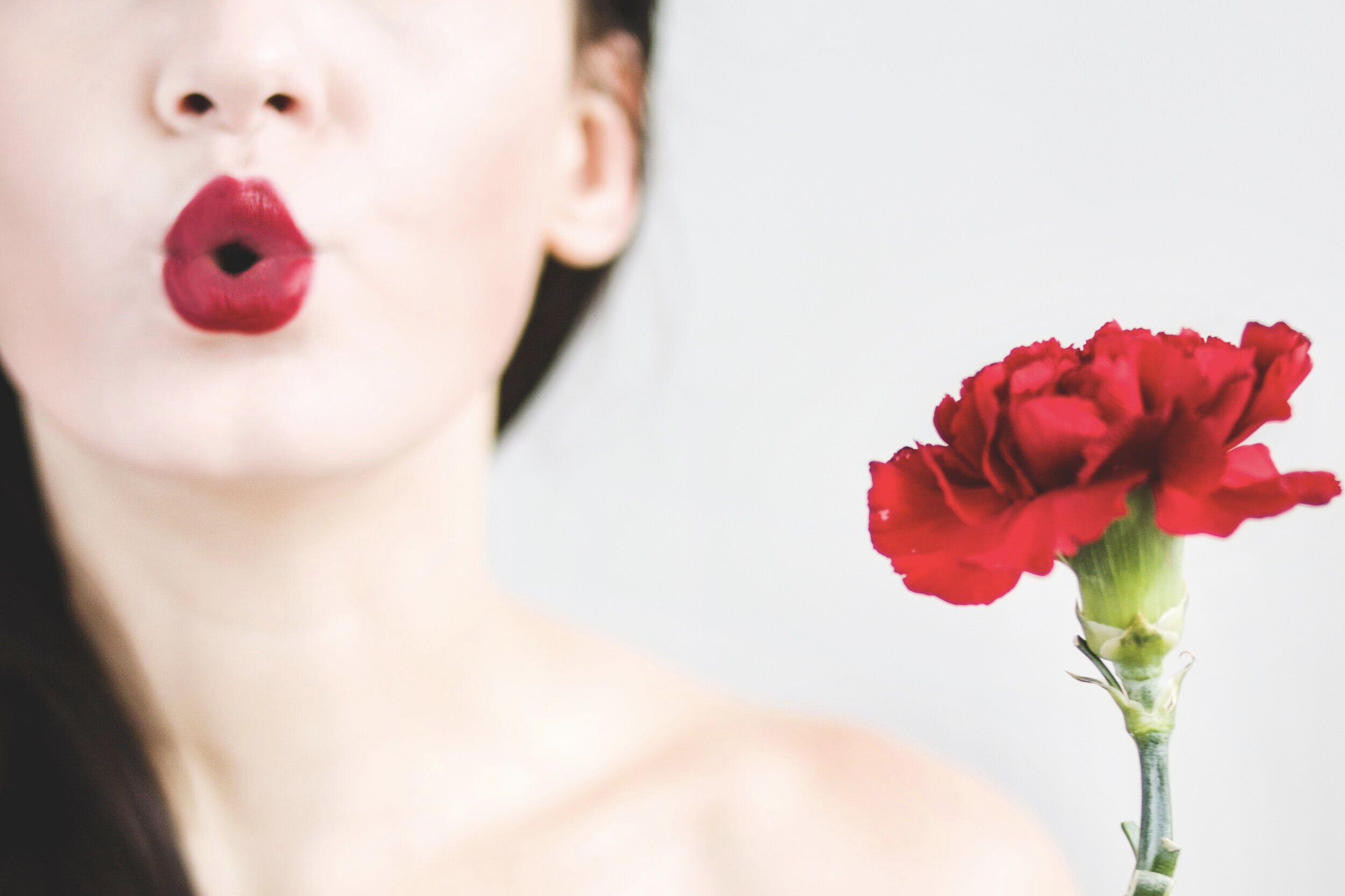 photo-of-a-woman-holding-red-carnation-flower-894752.jpg