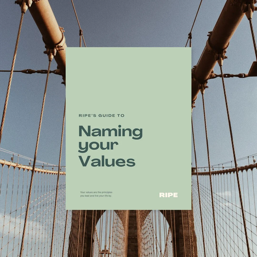 RipesGuideToValues_linkedin-01.jpg