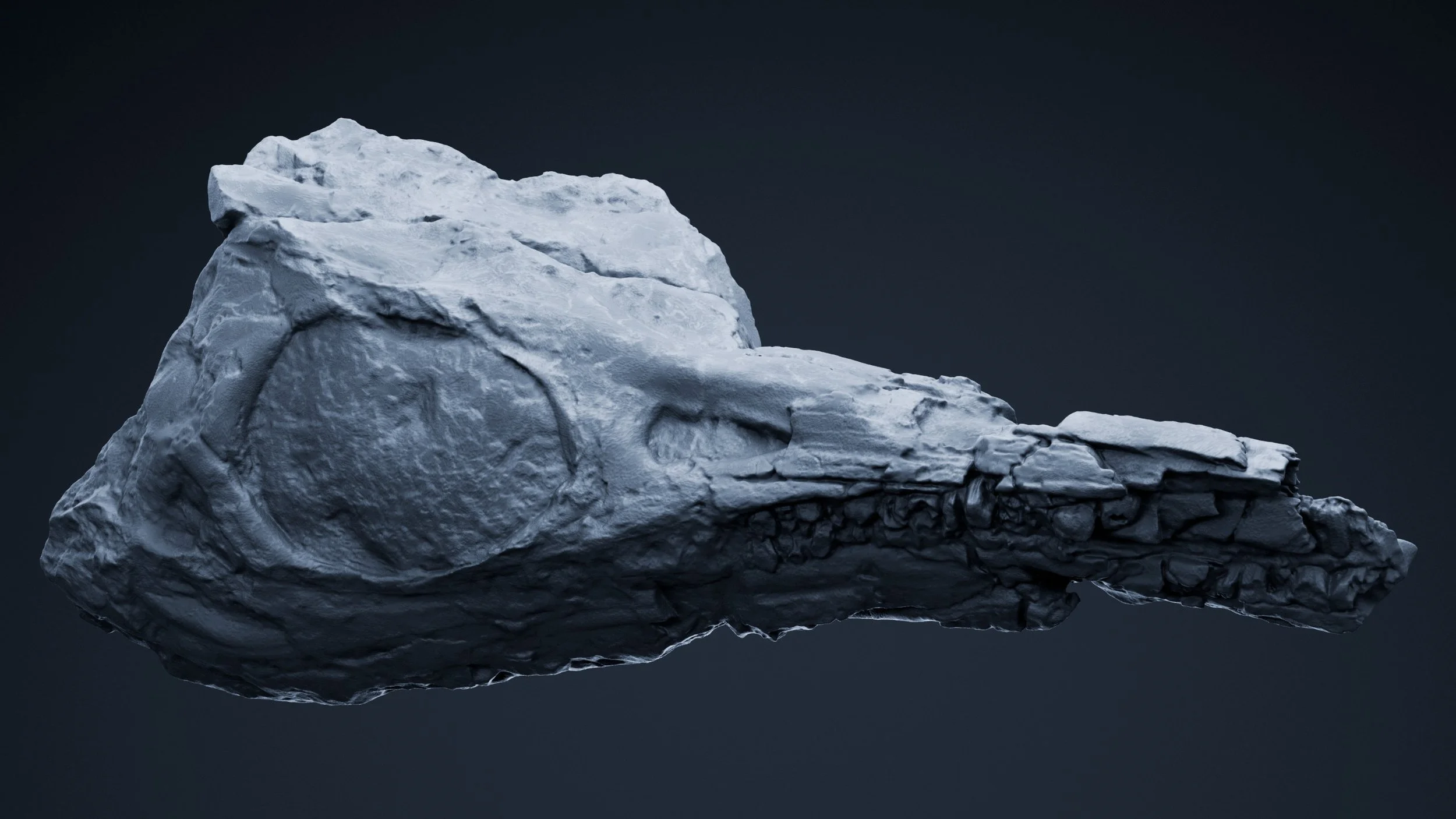 fossil.jpg