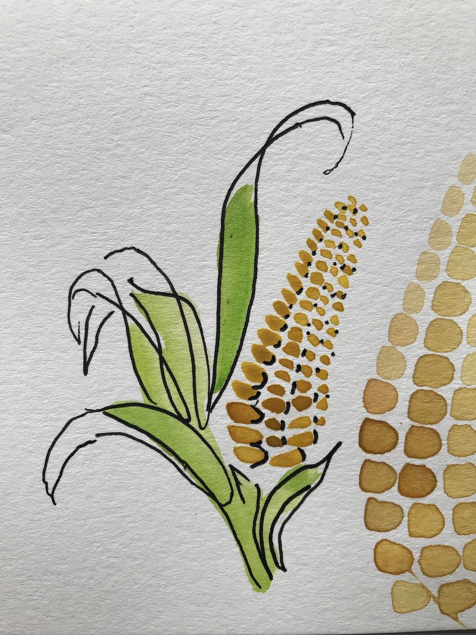 Mark_corn.jpeg