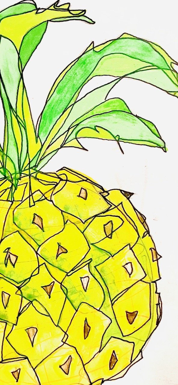 pina.jpeg