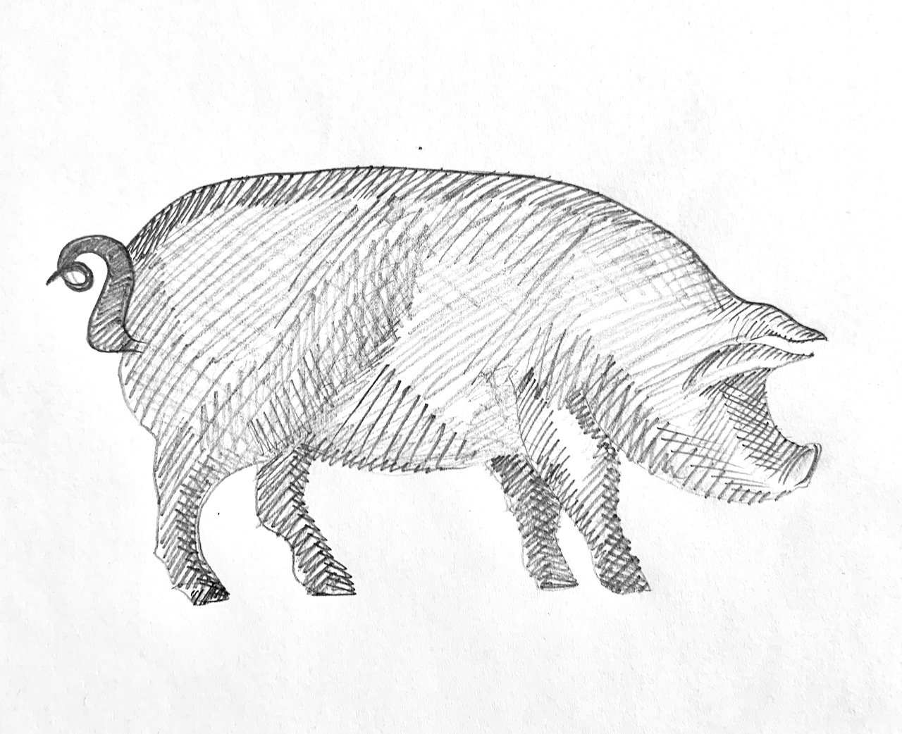 pig.jpeg